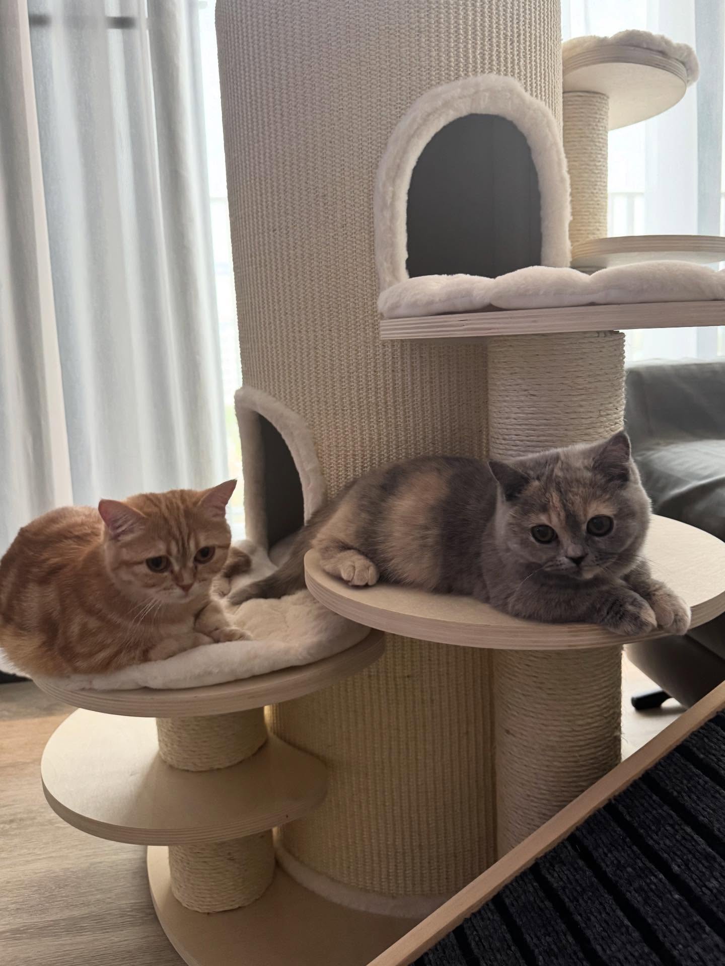 เนย - กานต์ธีรา วัชรทัศนกุล