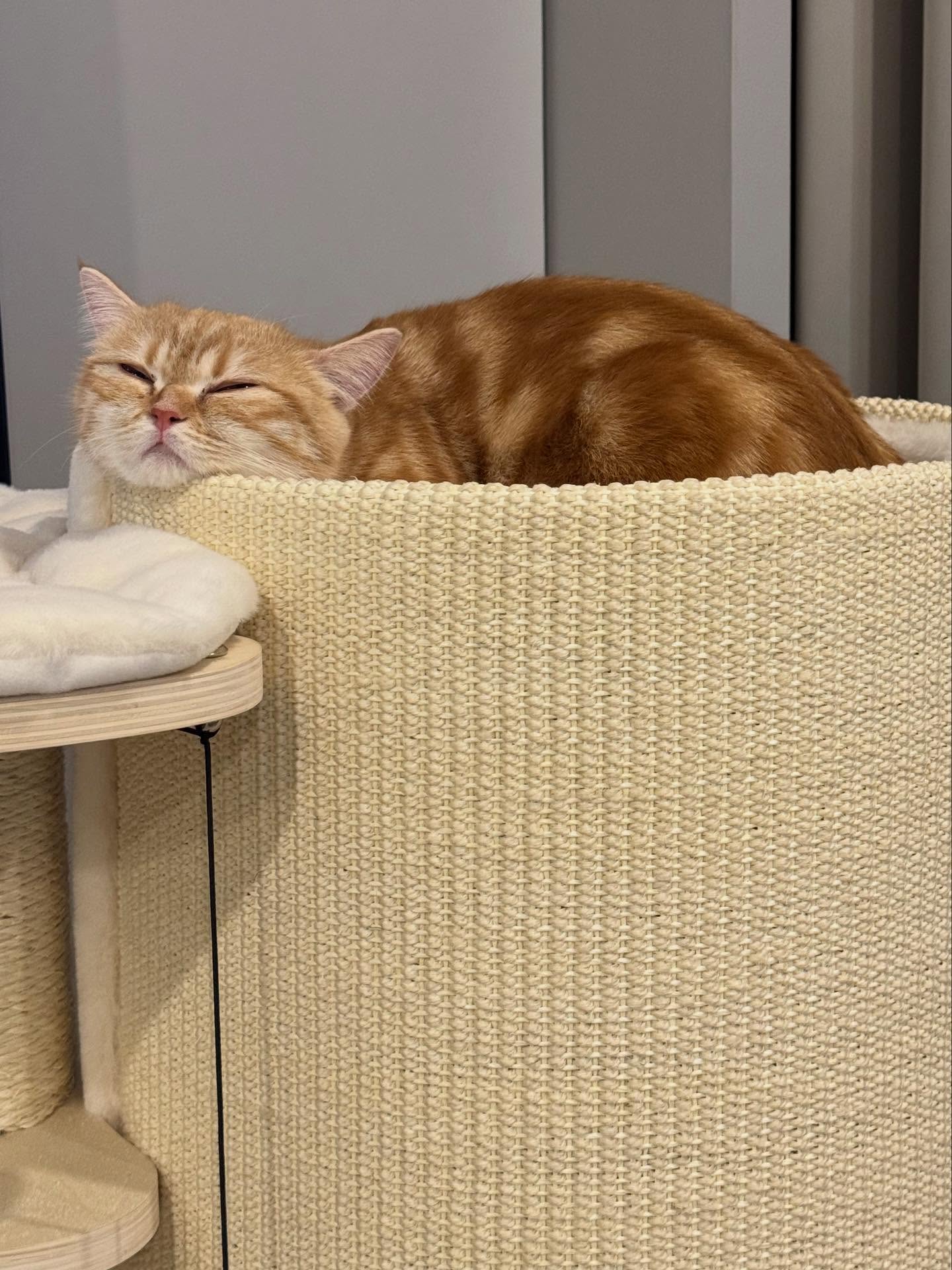 เนย - กานต์ธีรา วัชรทัศนกุล