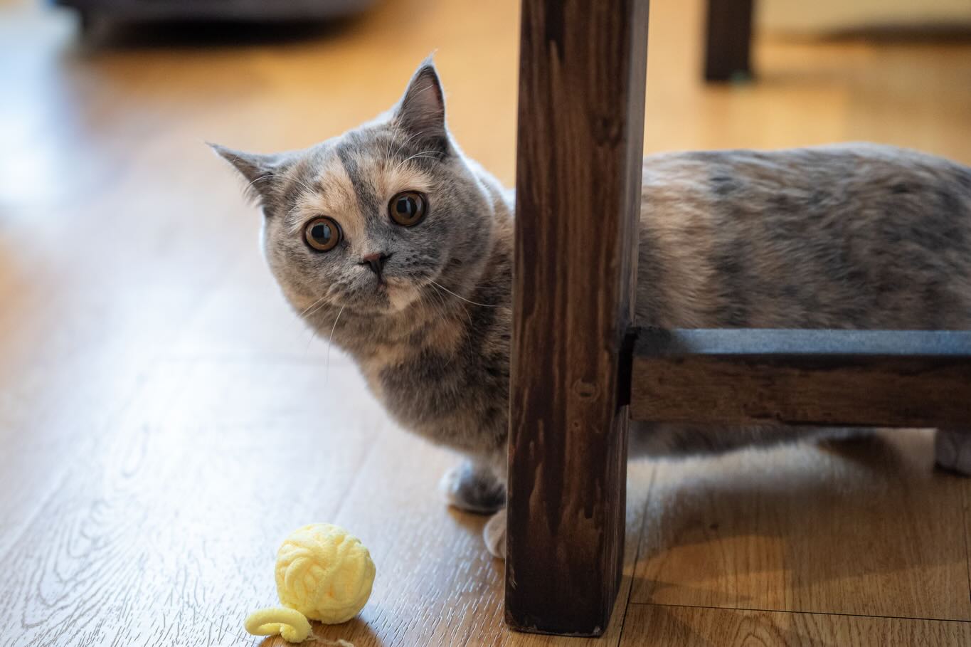 เนย - กานต์ธีรา วัชรทัศนกุล