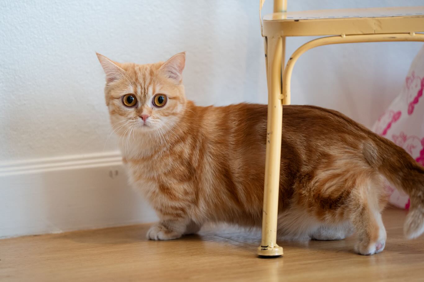 เนย - กานต์ธีรา วัชรทัศนกุล