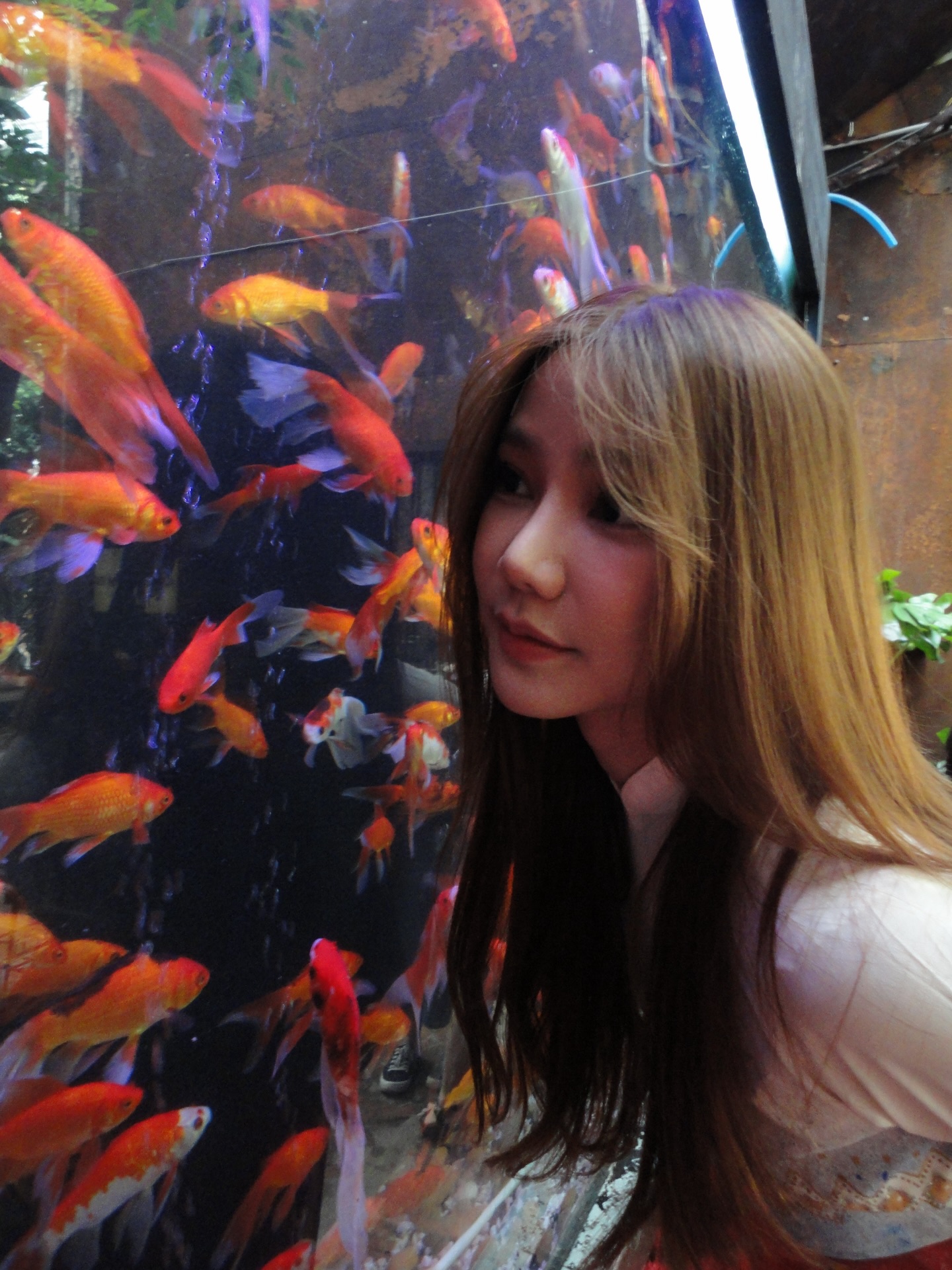 น้ำใส - พิชญาภา นาถา