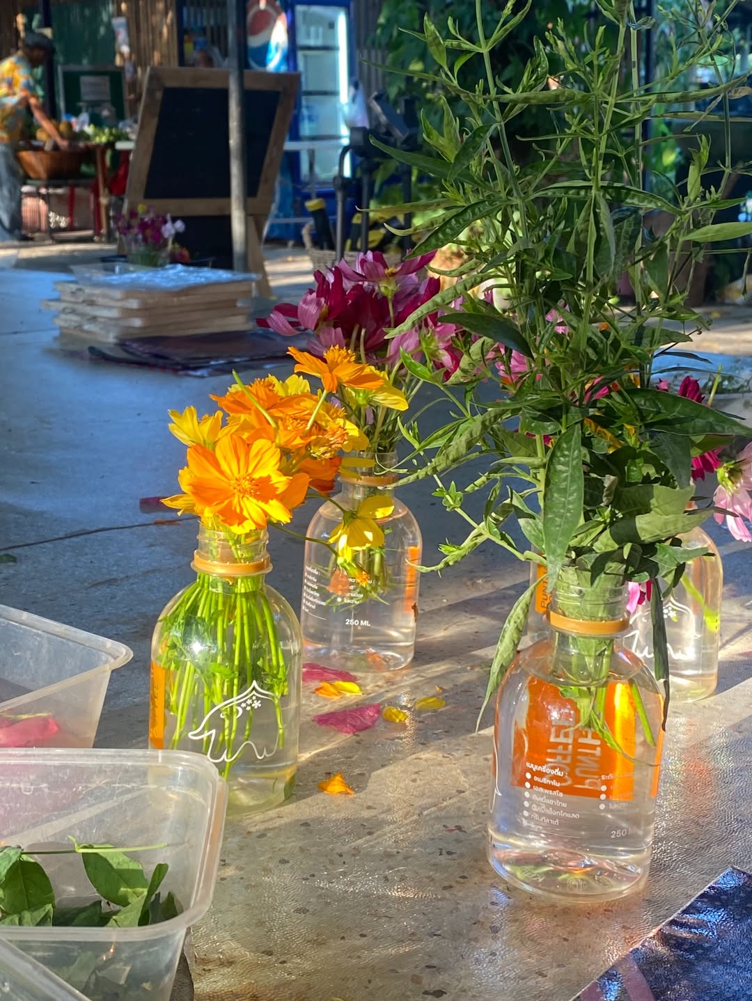 น้ำใส - พิชญาภา นาถา