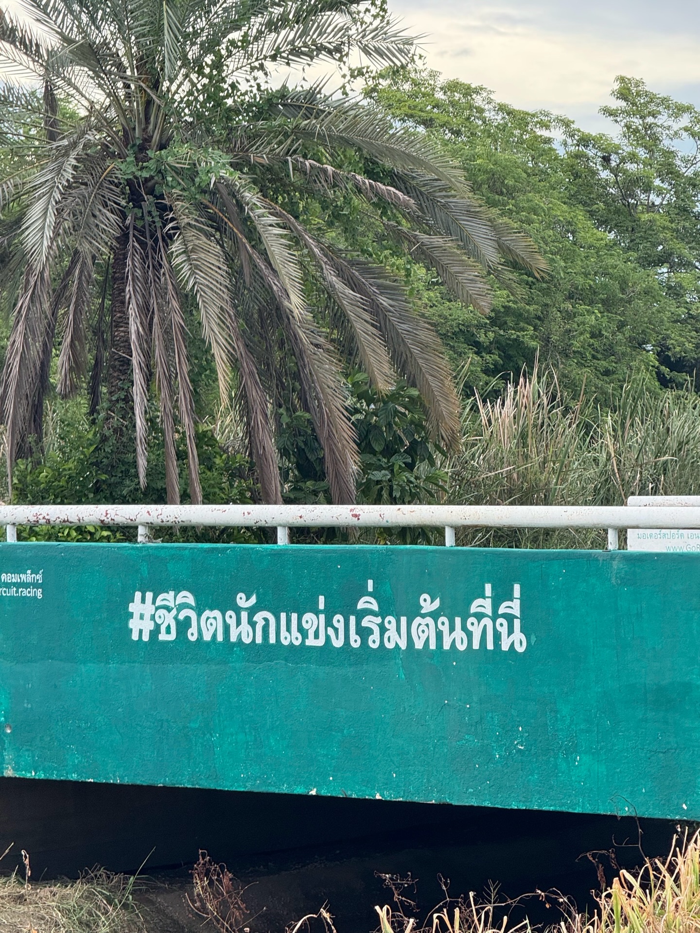น้ำใส - พิชญาภา นาถา