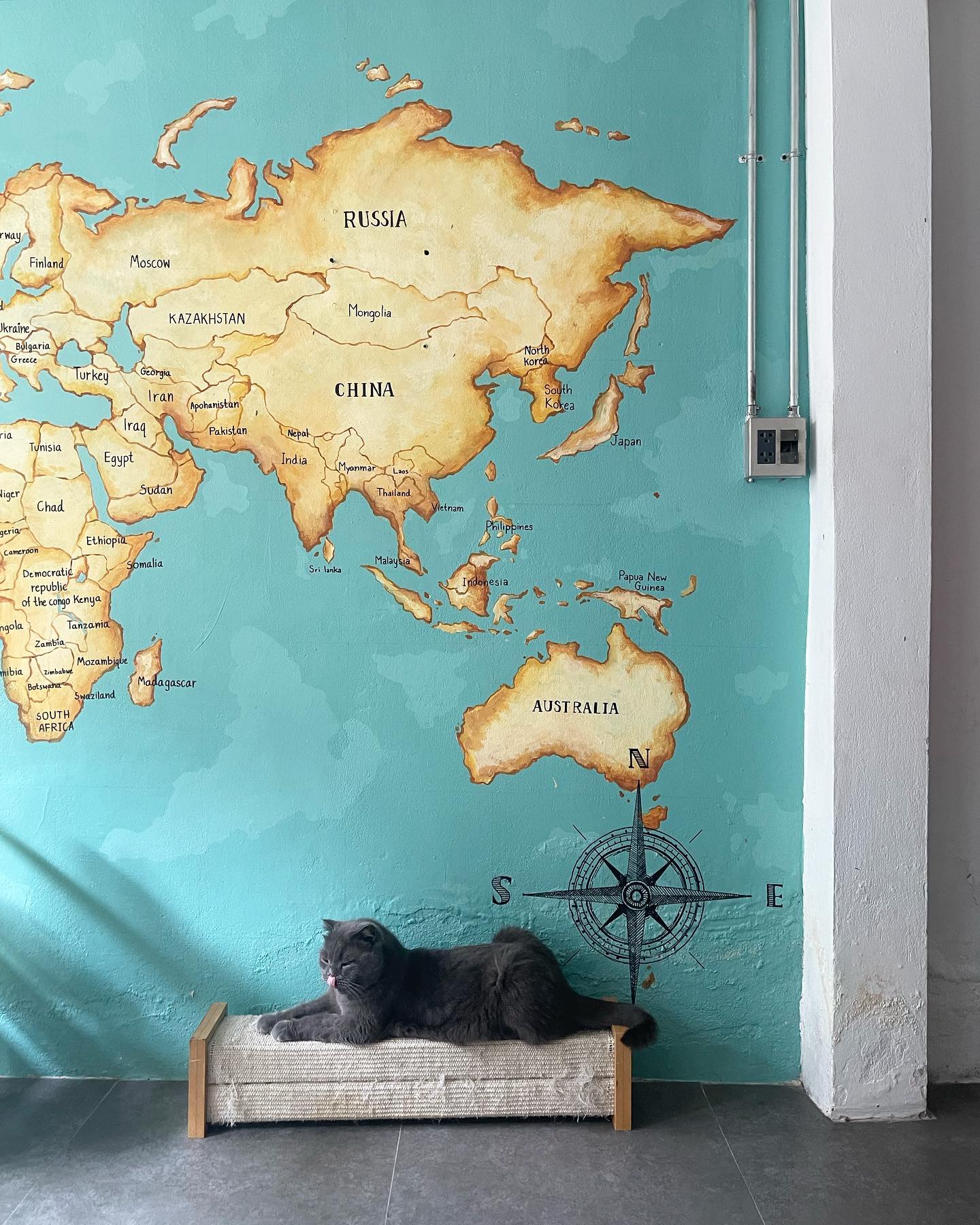 เจนนิษฐ์ โอ่ประเสริฐ