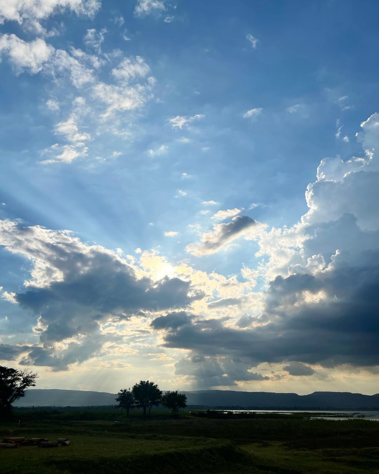 เจนนิษฐ์ โอ่ประเสริฐ