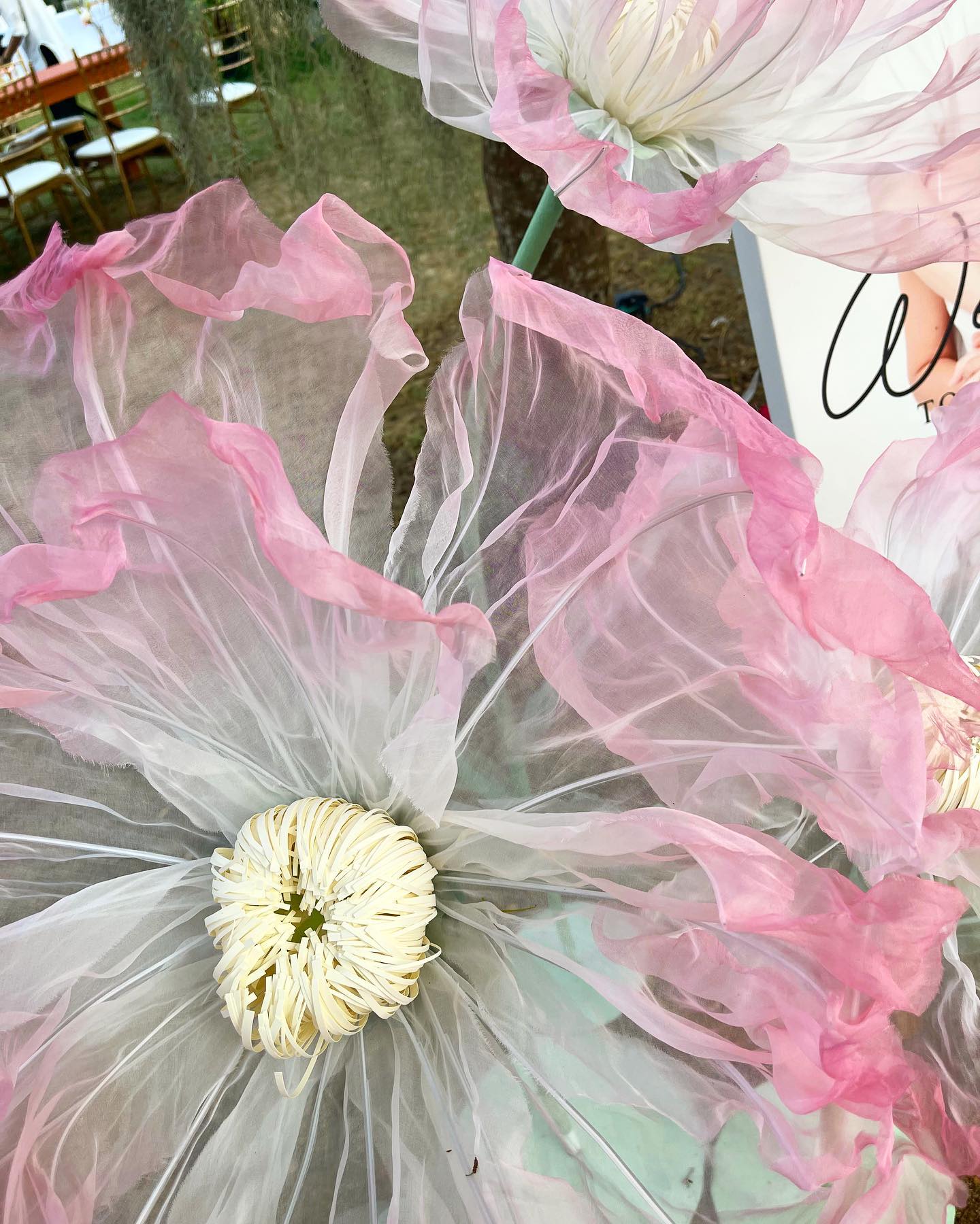 เจนนิษฐ์ โอ่ประเสริฐ