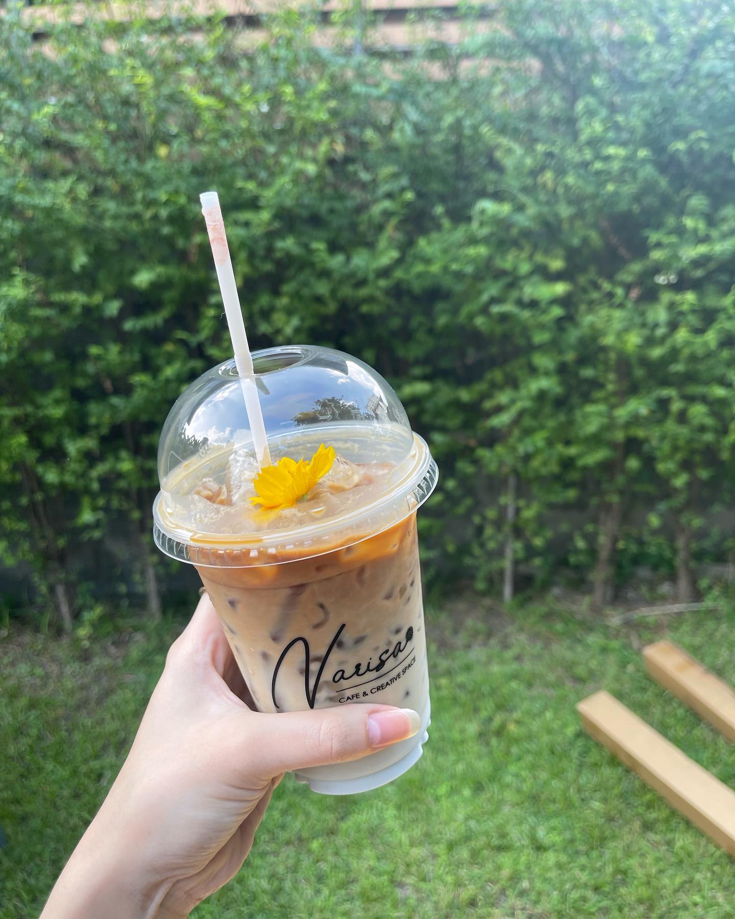 เจนนิษฐ์ โอ่ประเสริฐ