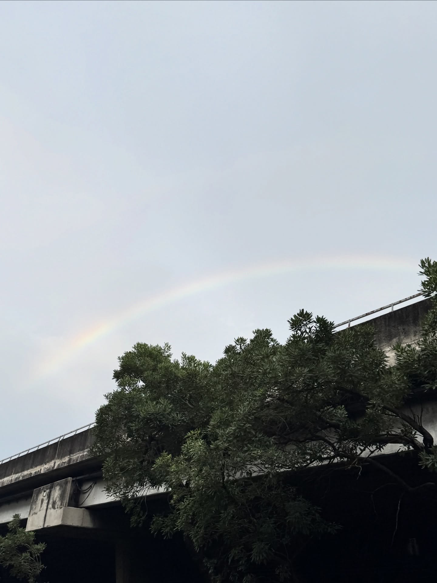 เจนนิษฐ์ โอ่ประเสริฐ