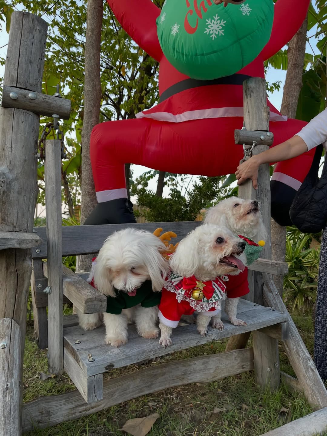 เจน - กุลจิราณัฐ อินทรศิลป์