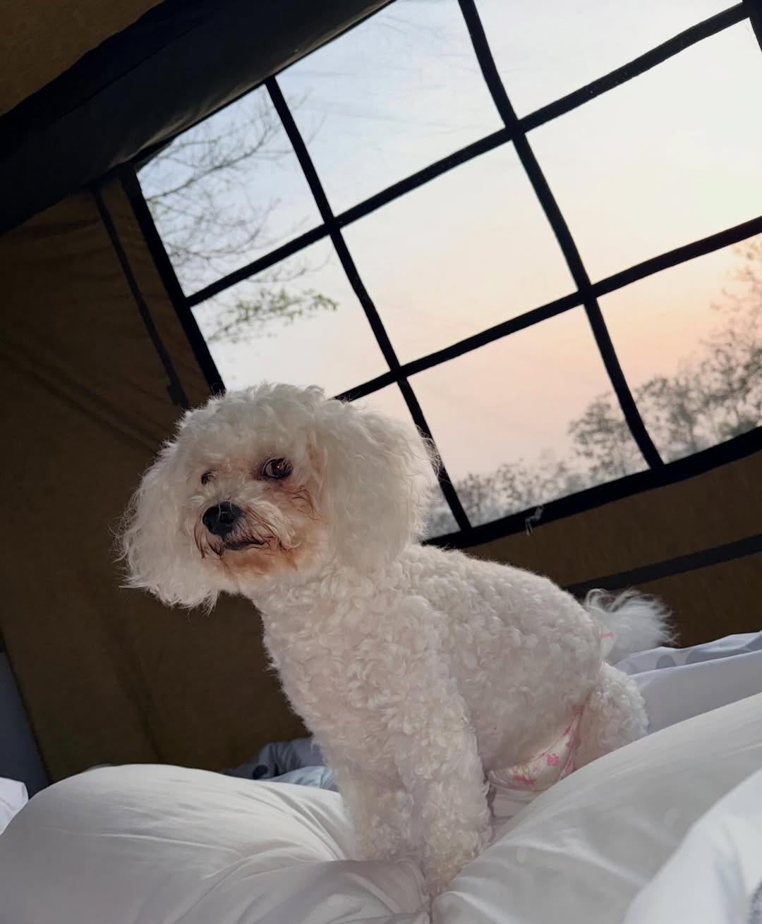 เจน - กุลจิราณัฐ อินทรศิลป์