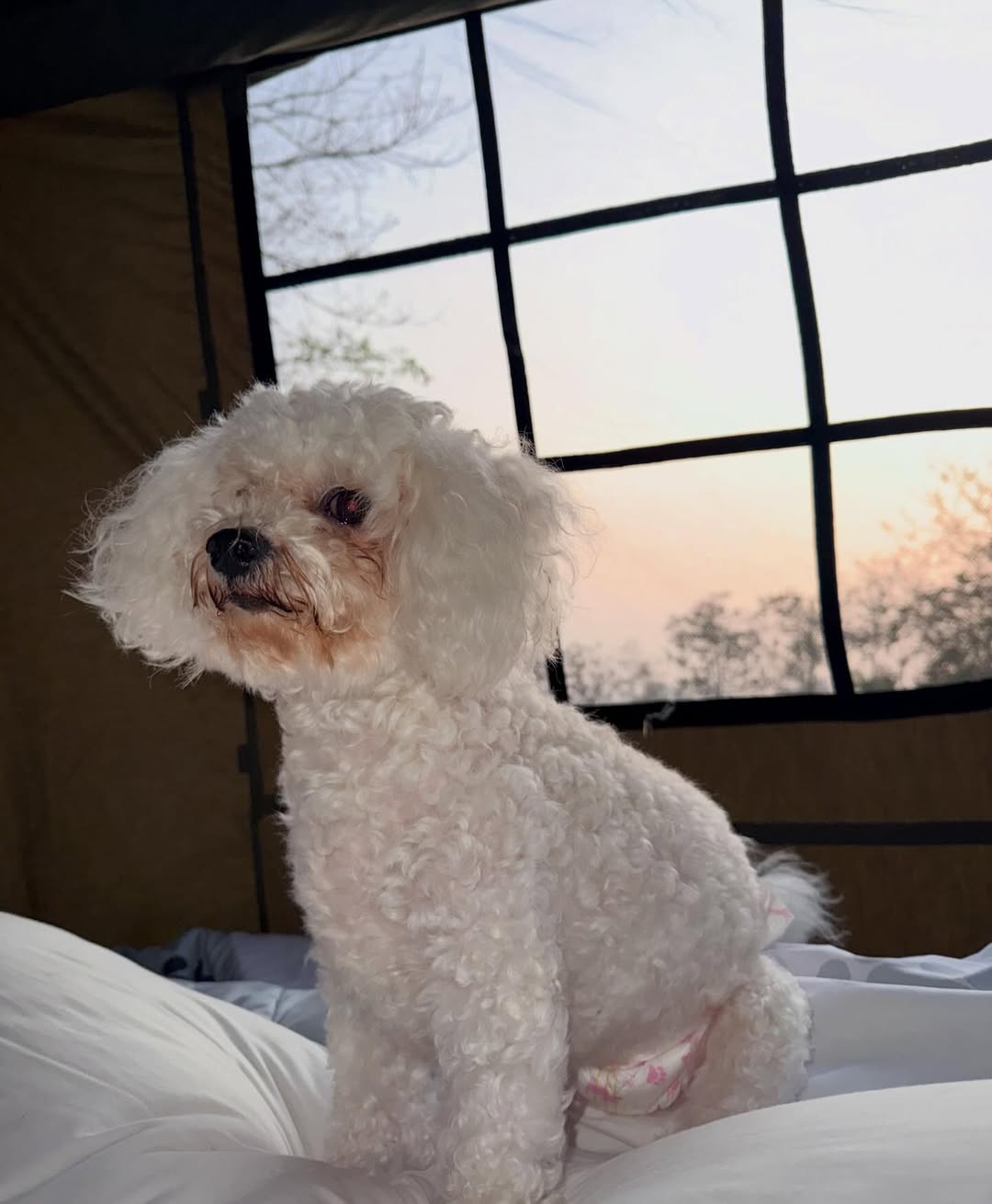 เจน - กุลจิราณัฐ อินทรศิลป์