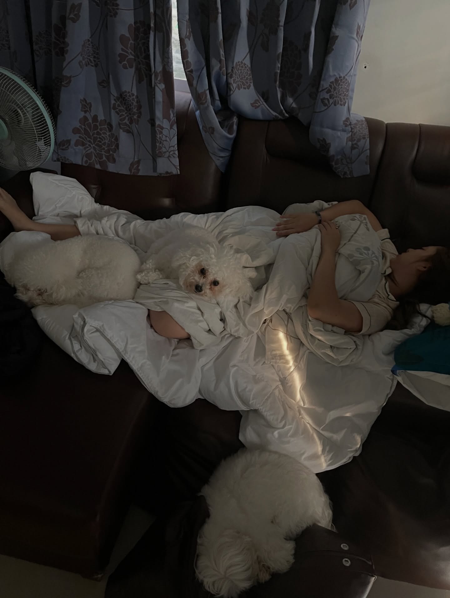 เจน - กุลจิราณัฐ อินทรศิลป์