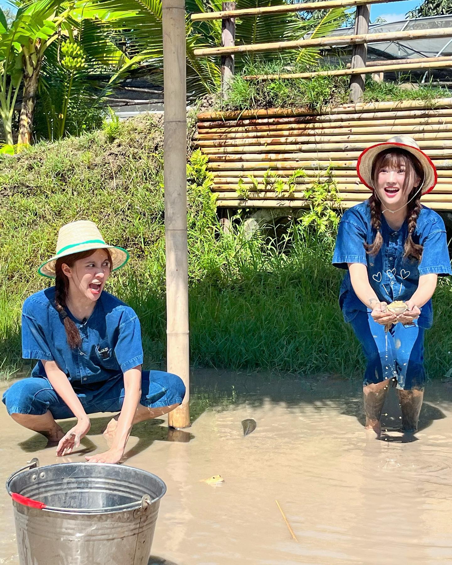 ไข่มุก - วรัทยา ดีสมเลิศ