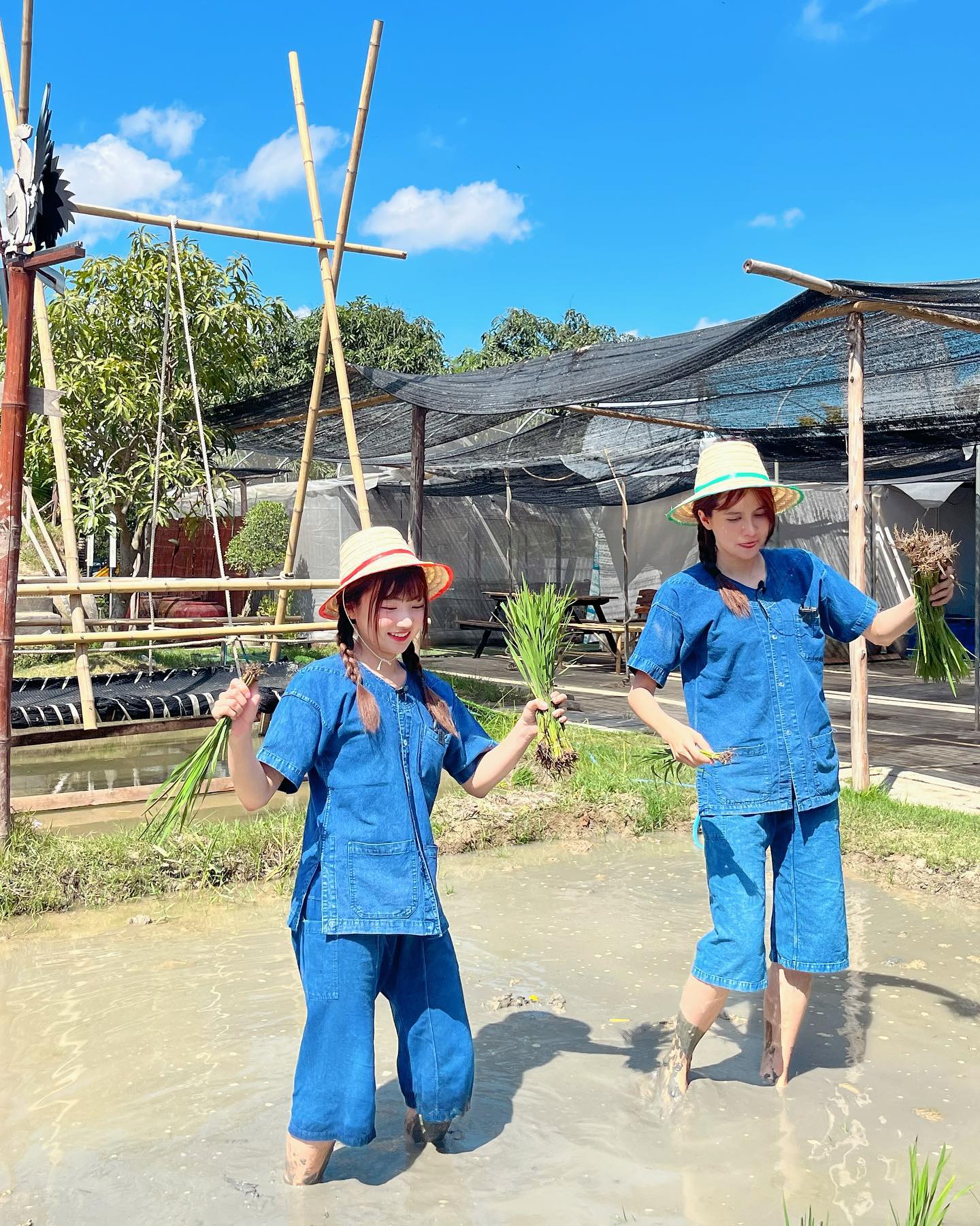 ไข่มุก - วรัทยา ดีสมเลิศ