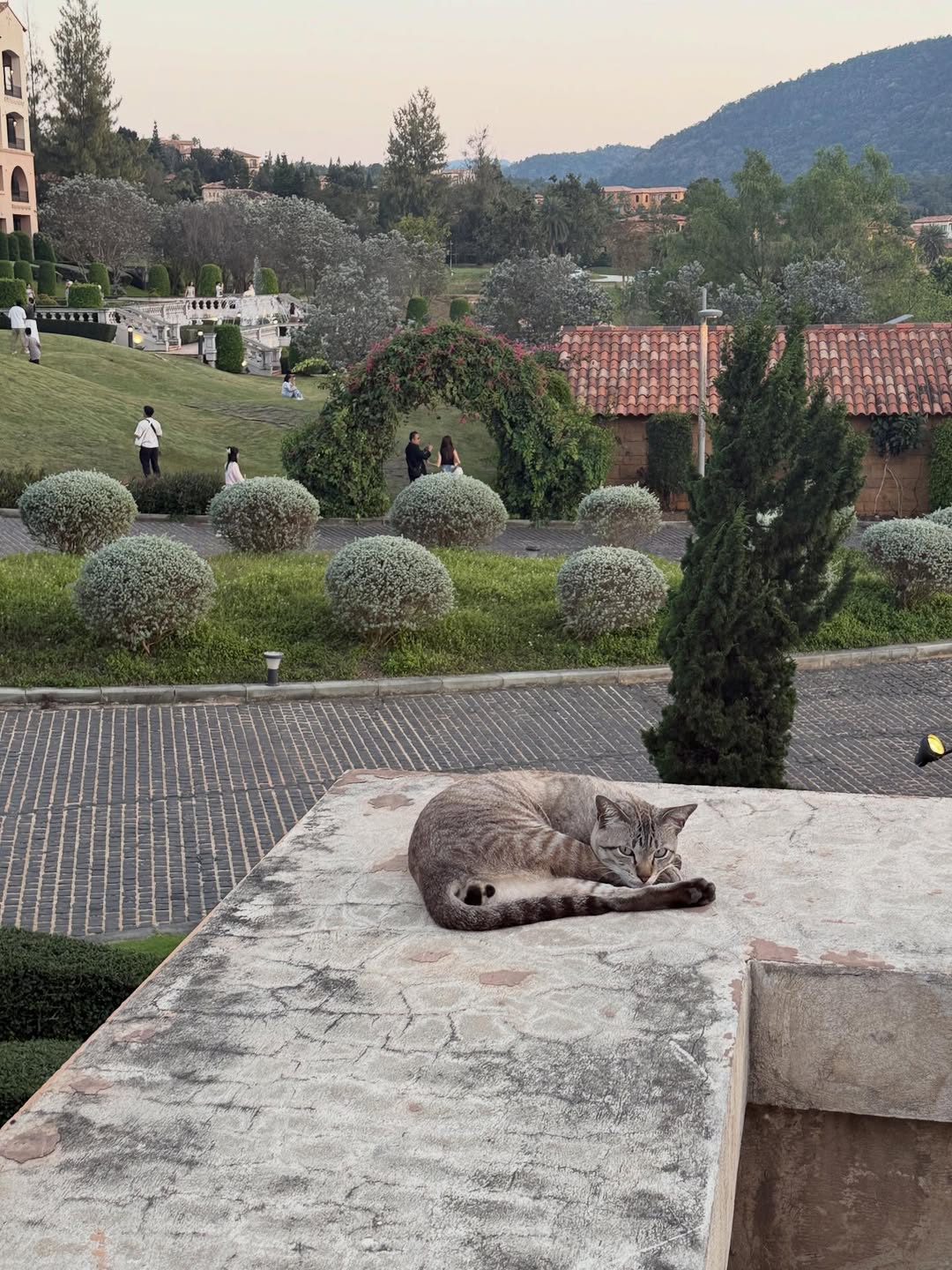 ไข่มุก - วรัทยา ดีสมเลิศ