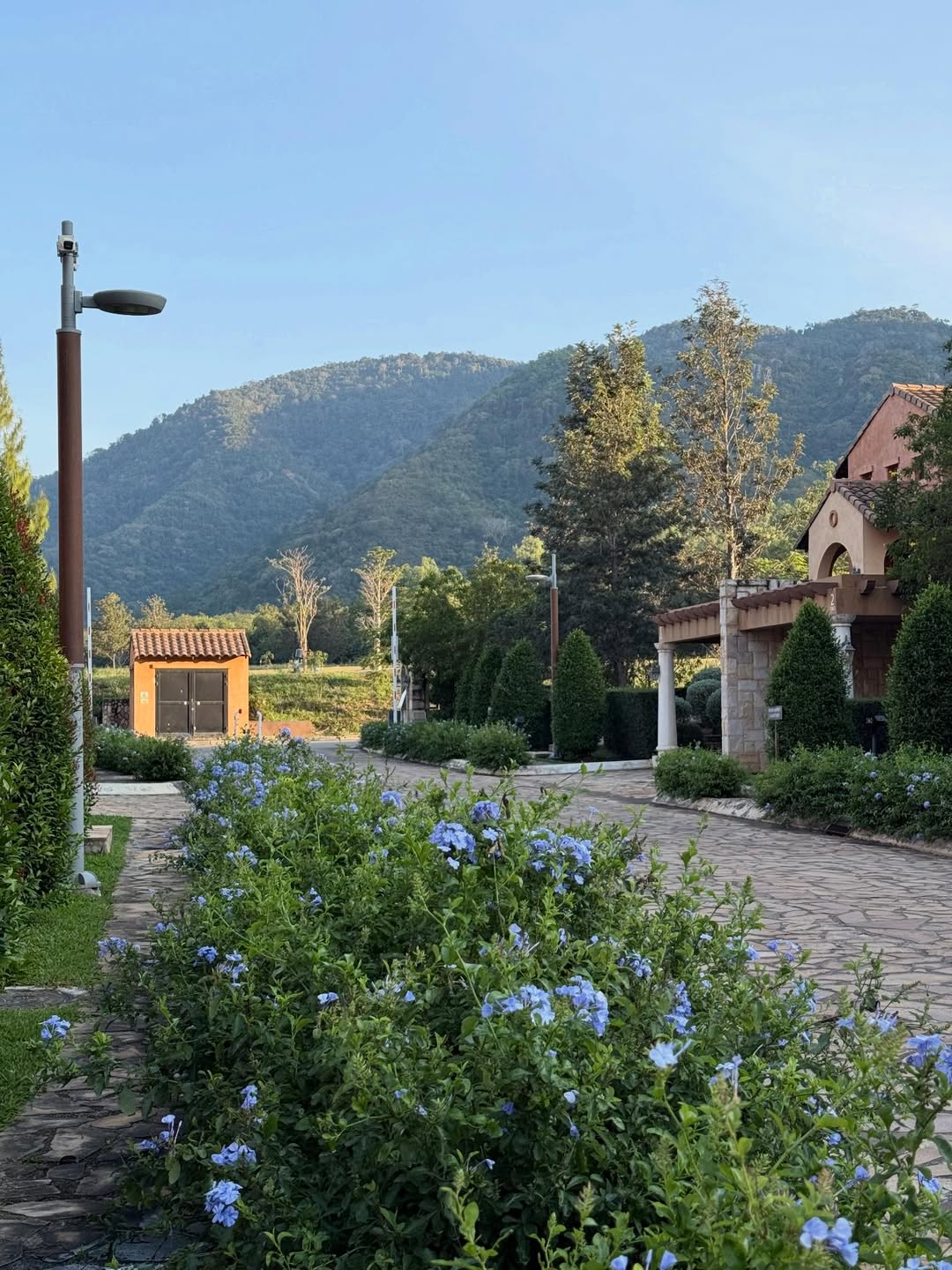 ไข่มุก - วรัทยา ดีสมเลิศ