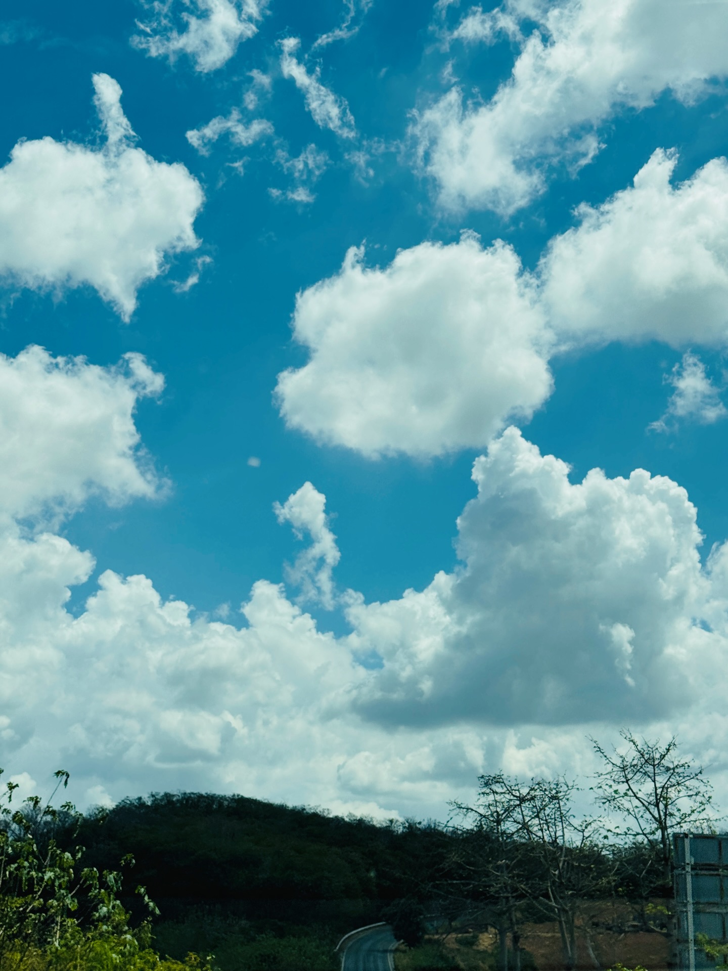 จิ๊บ - สุชญา แสนโคต