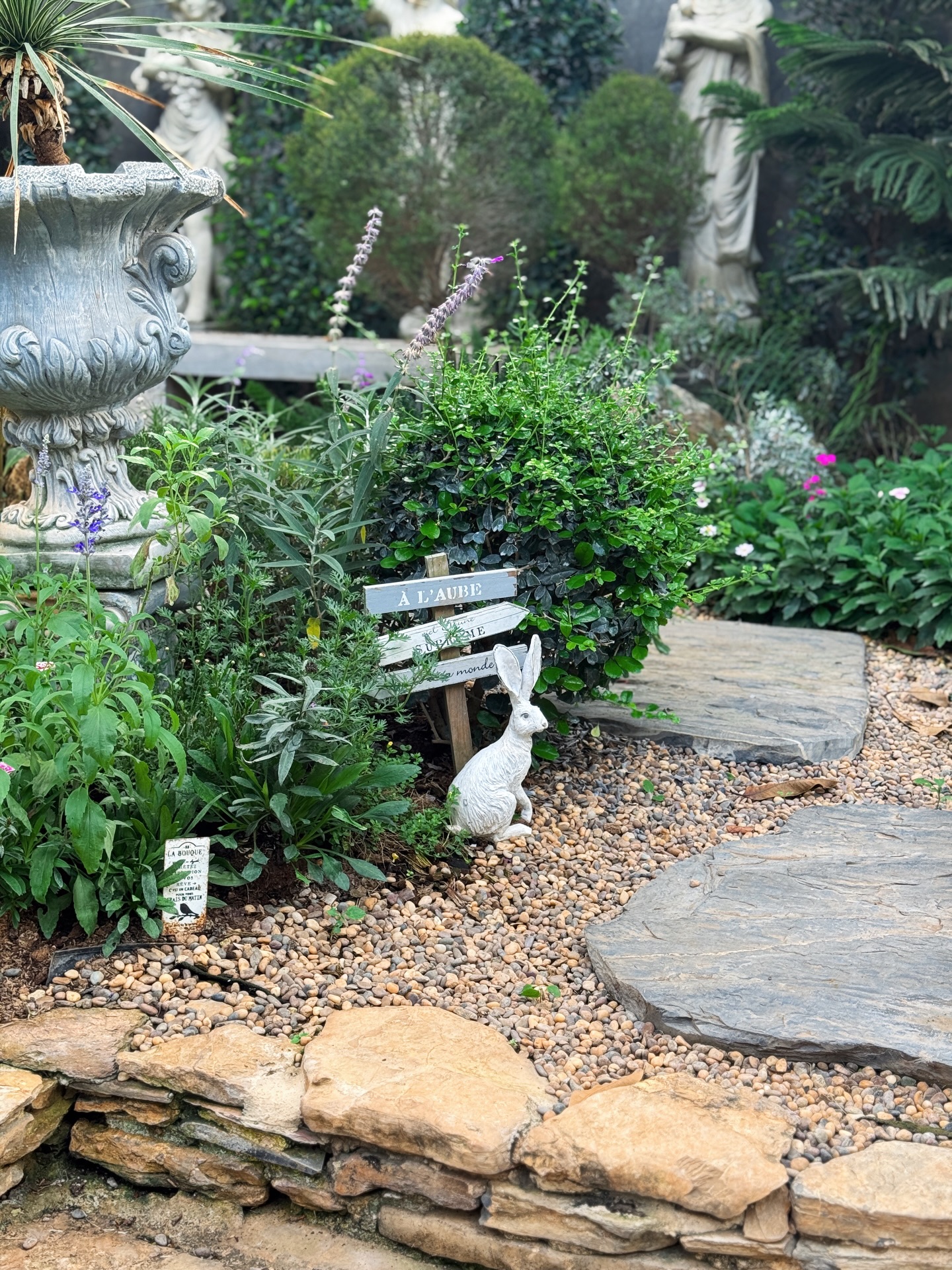 จิ๊บ - สุชญา แสนโคต