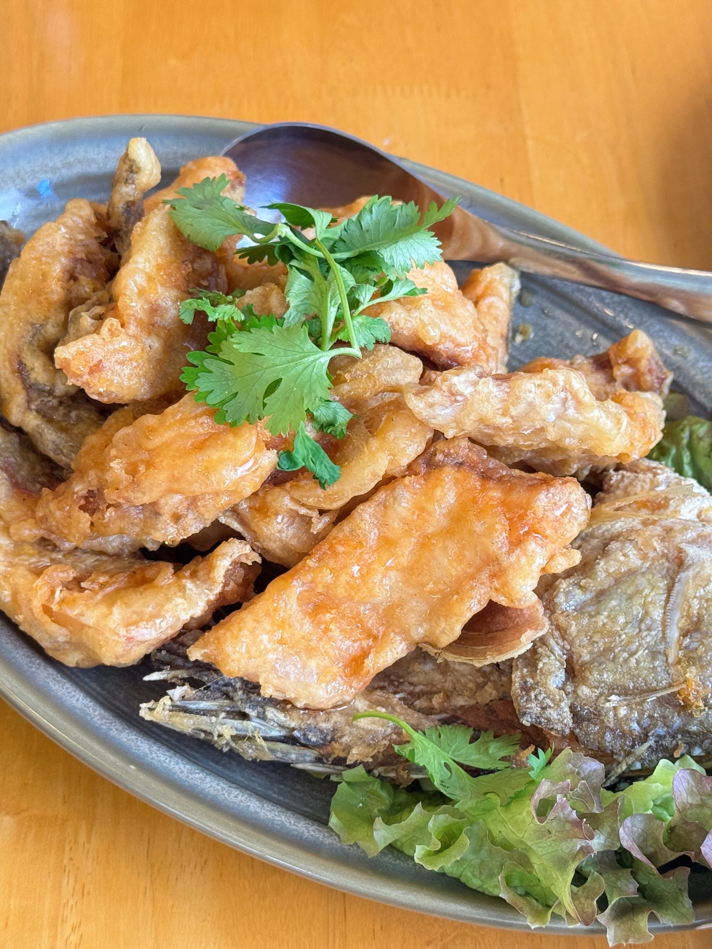 จิ๊บ - สุชญา แสนโคต