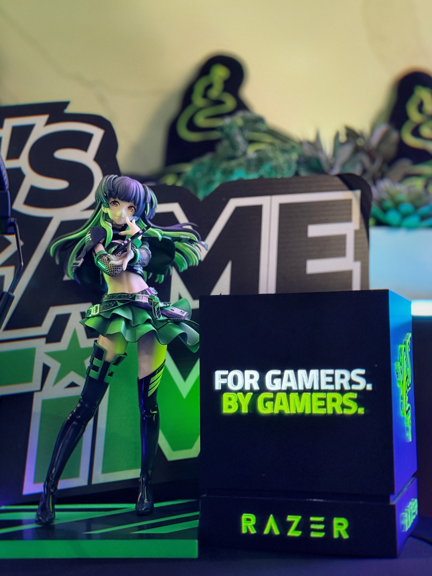 จิ๊บ - สุชญา แสนโคต