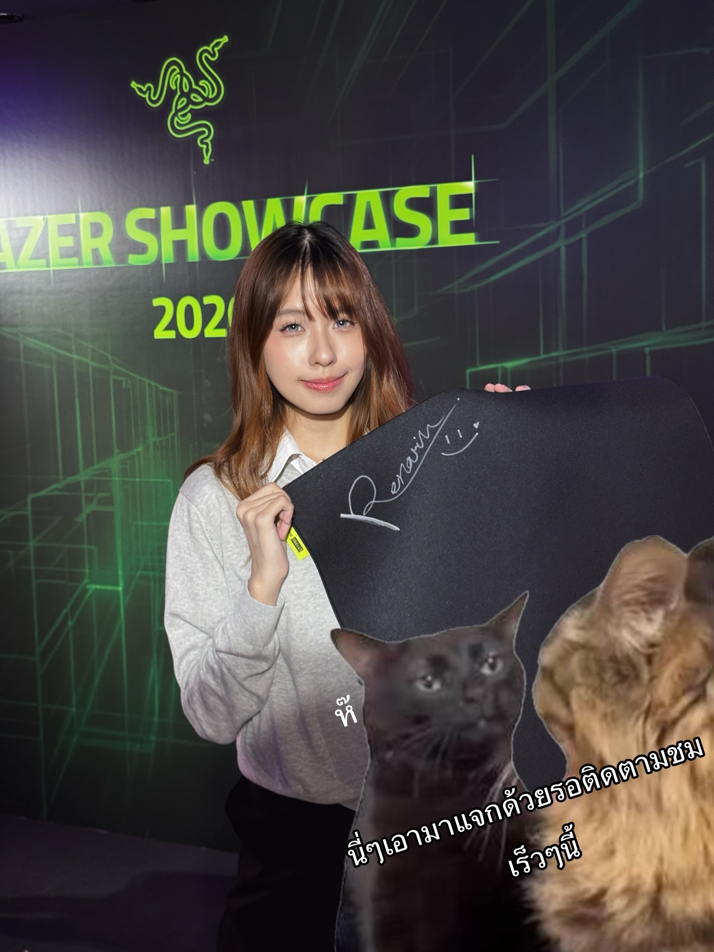 จิ๊บ - สุชญา แสนโคต