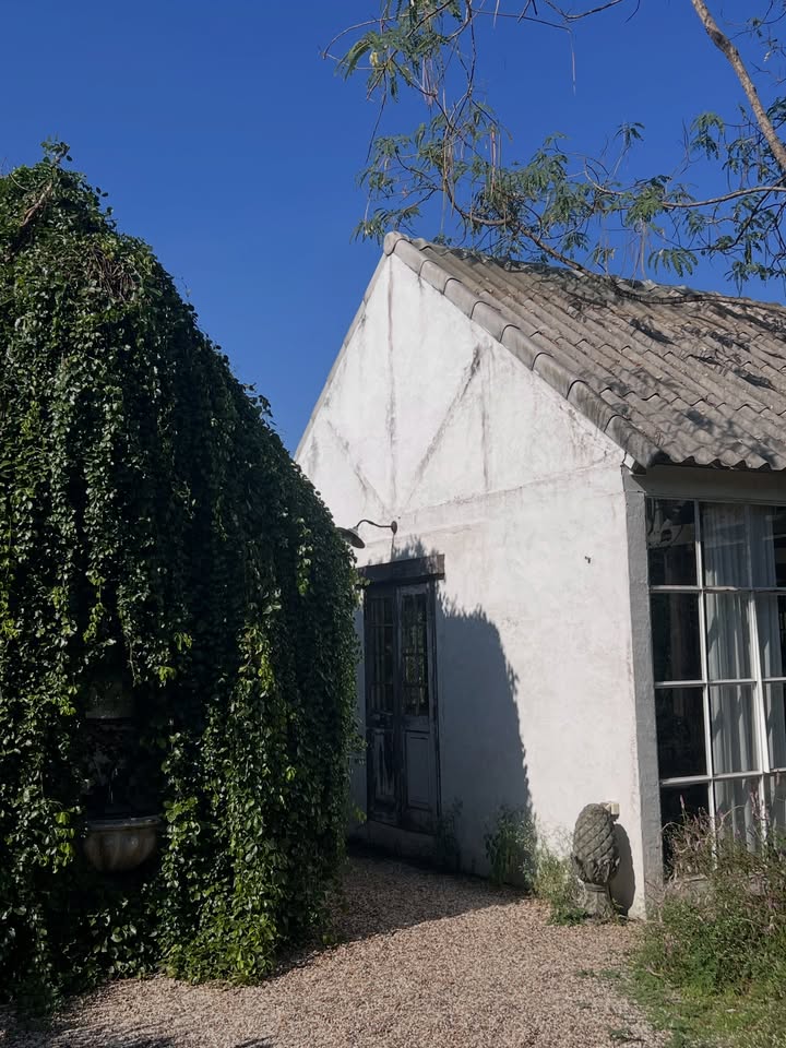 ตาหวาน - อิสราภา ธวัชภักดี