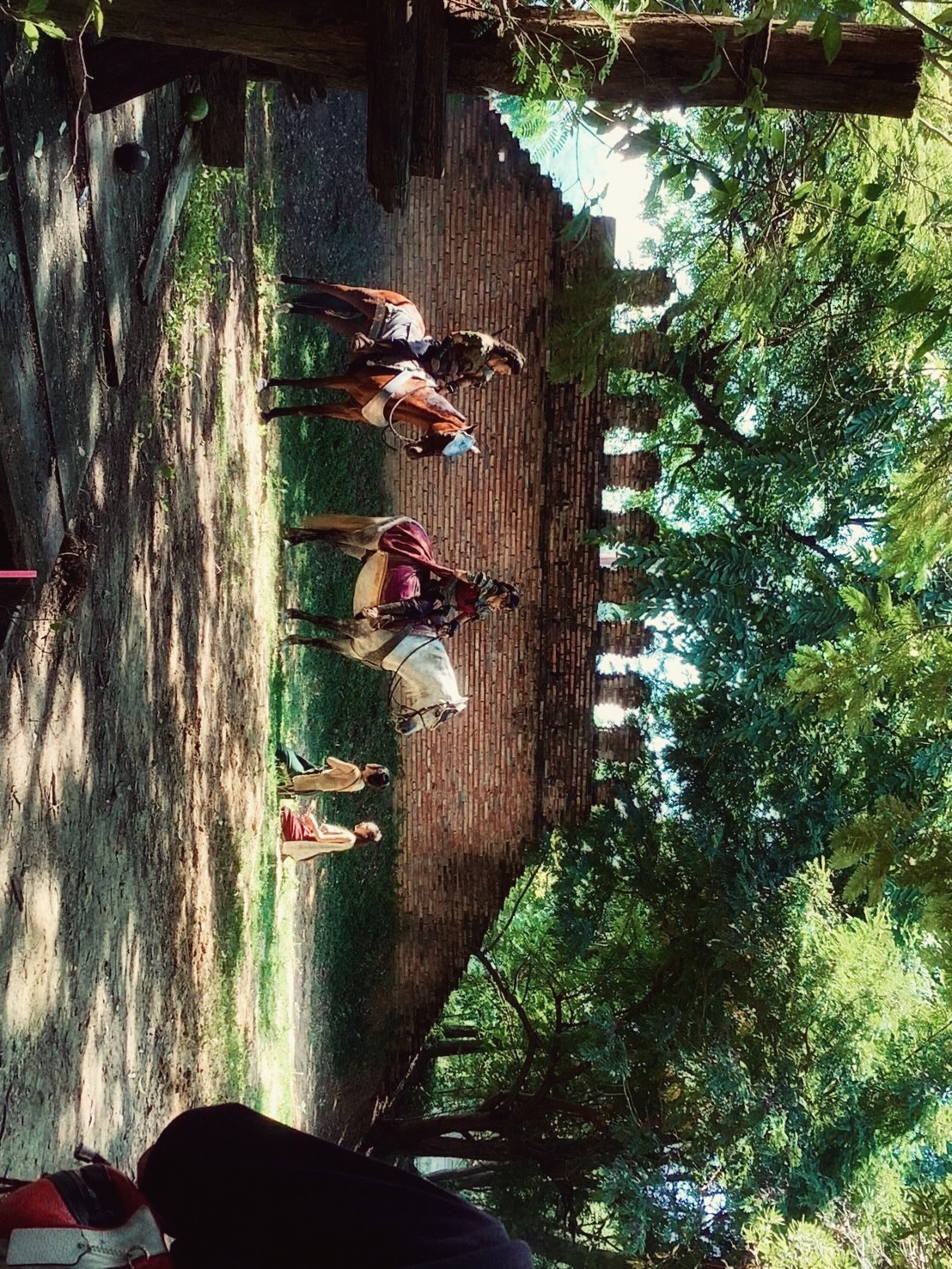 ปีเตอร์แพน - ทัศน์พล วิวิธวรรธน์