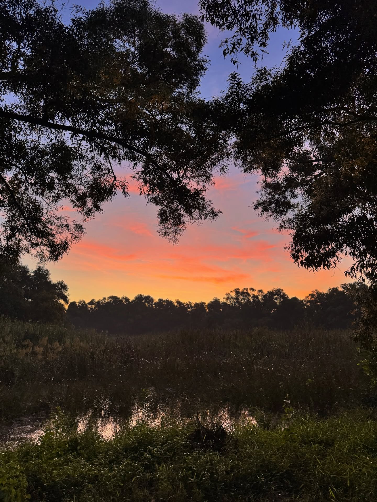 ปีเตอร์แพน - ทัศน์พล วิวิธวรรธน์