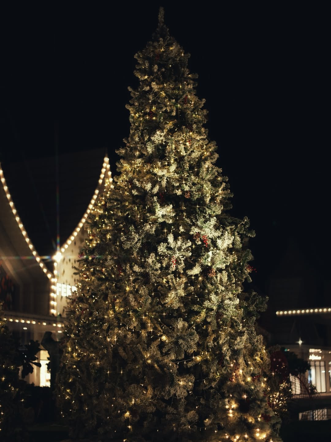 ปีเตอร์แพน - ทัศน์พล วิวิธวรรธน์