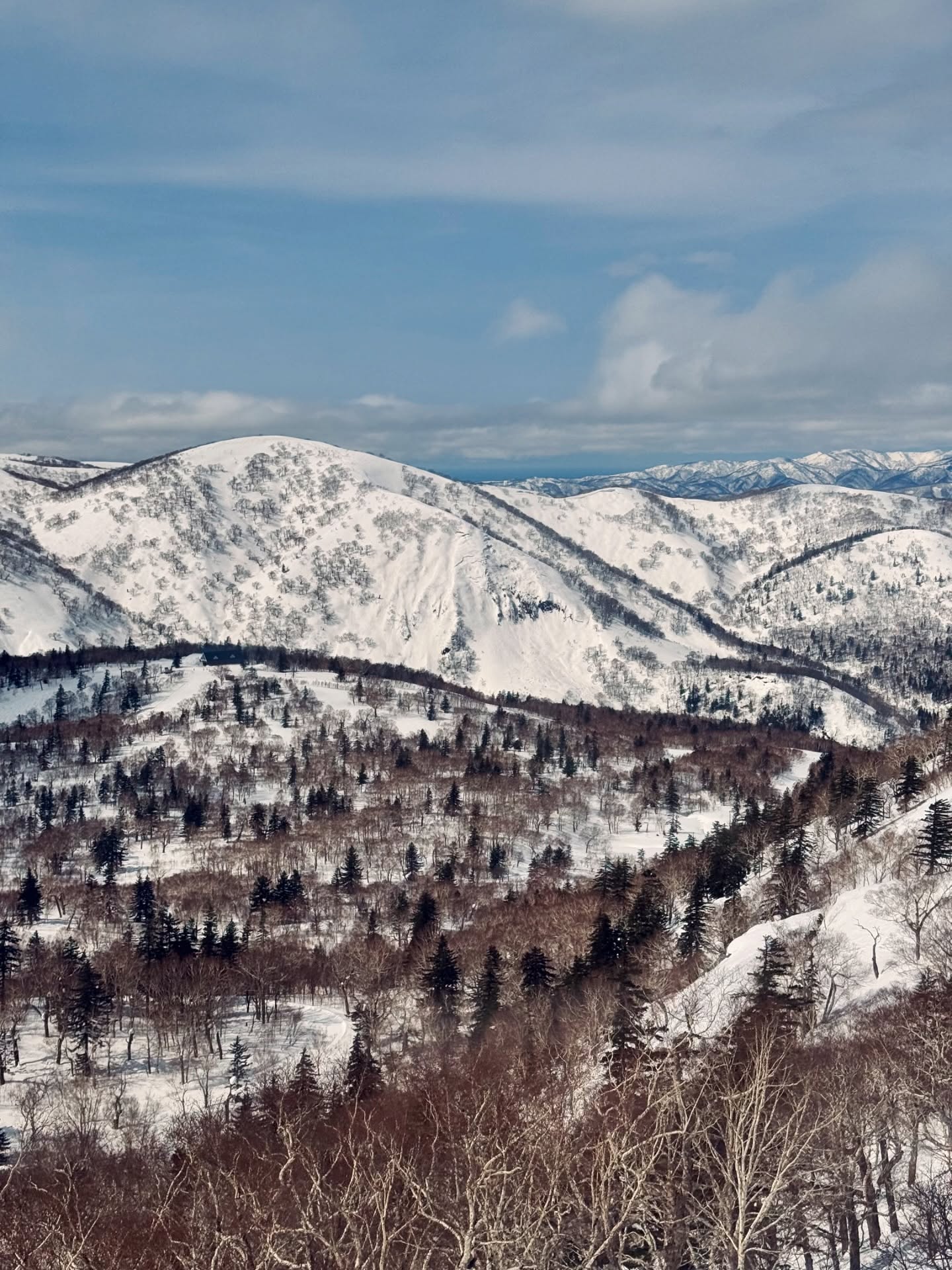 ปีเตอร์แพน - ทัศน์พล วิวิธวรรธน์
