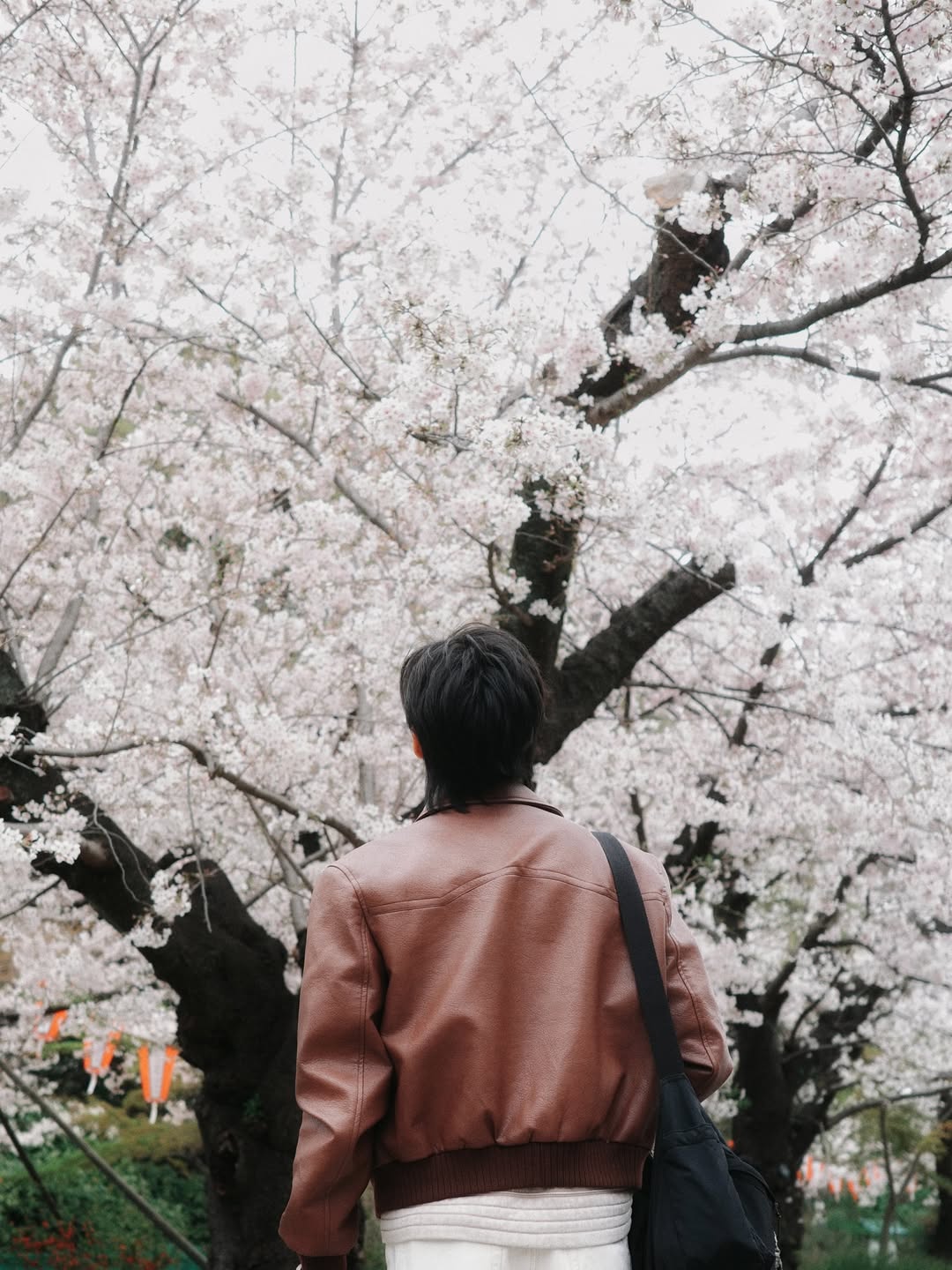 ปีเตอร์แพน - ทัศน์พล วิวิธวรรธน์