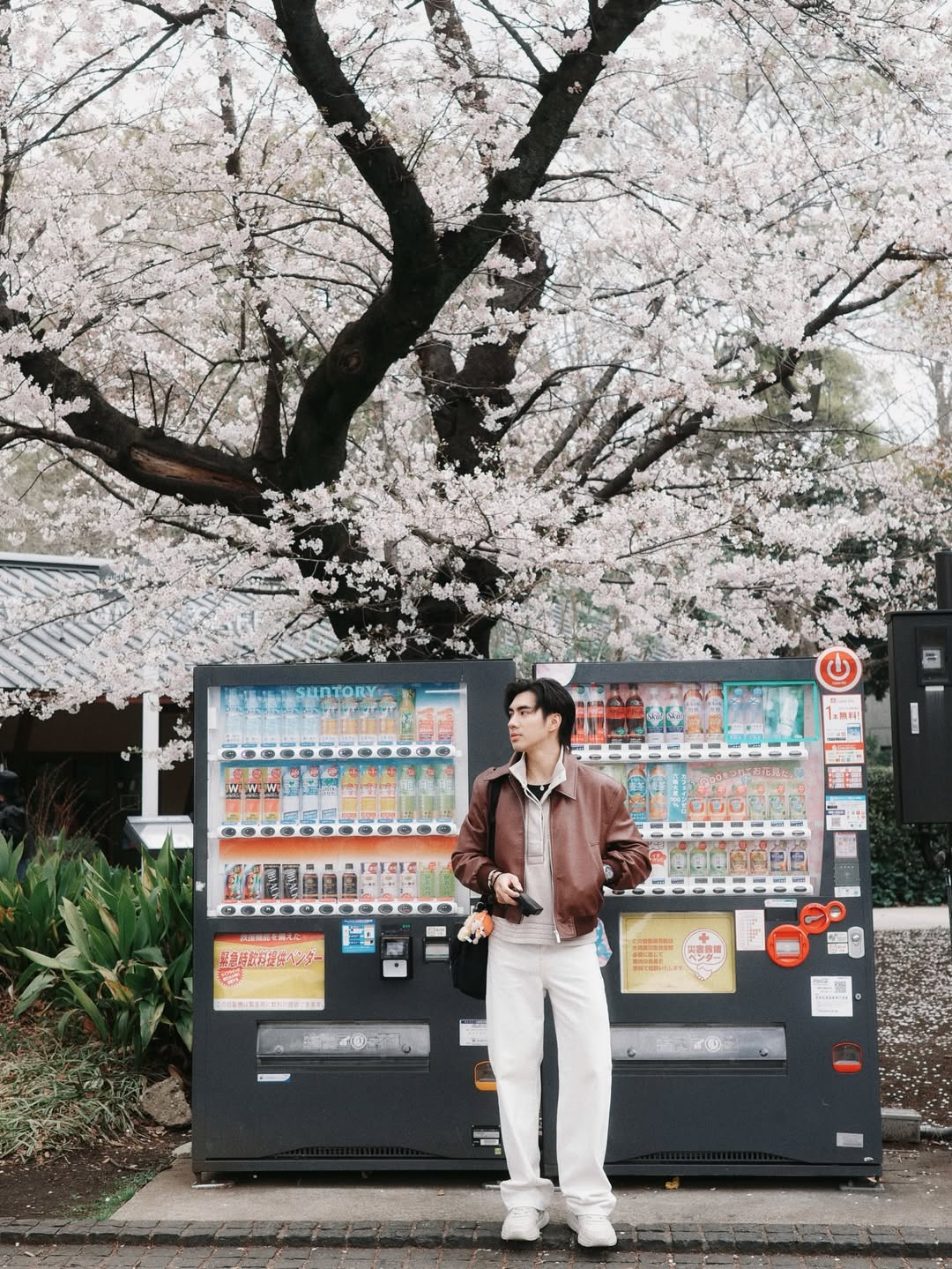 ปีเตอร์แพน - ทัศน์พล วิวิธวรรธน์