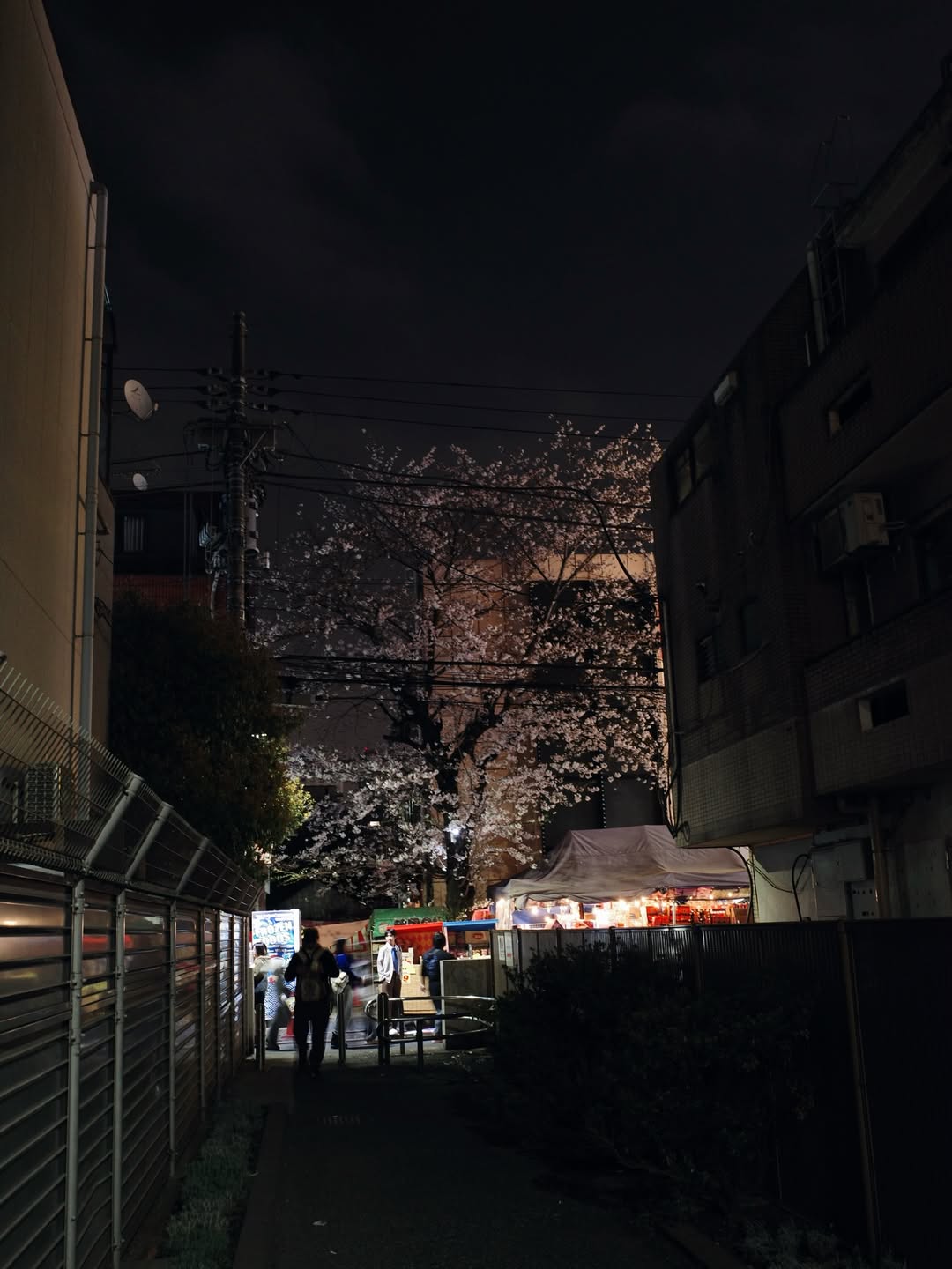 ปีเตอร์แพน - ทัศน์พล วิวิธวรรธน์