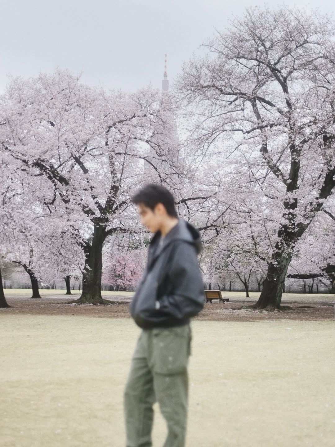 ปีเตอร์แพน - ทัศน์พล วิวิธวรรธน์