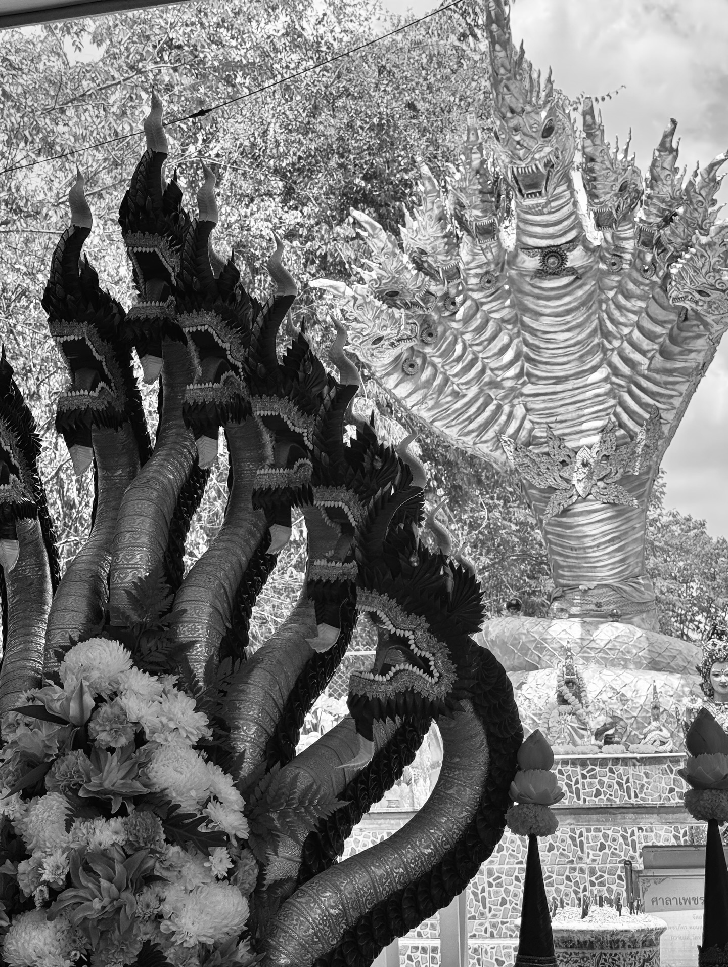 ปีเตอร์แพน - ทัศน์พล วิวิธวรรธน์