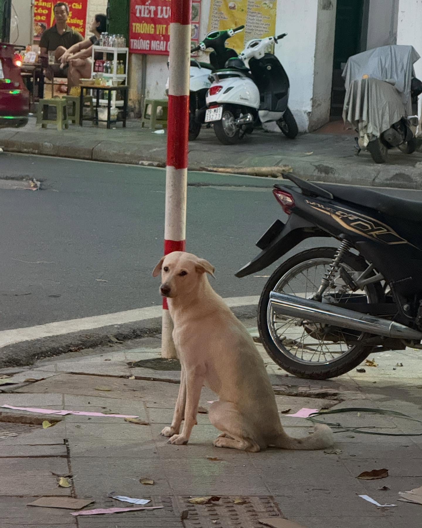 พรอยมน - มนสภรณ์ ชาญเฉลิม