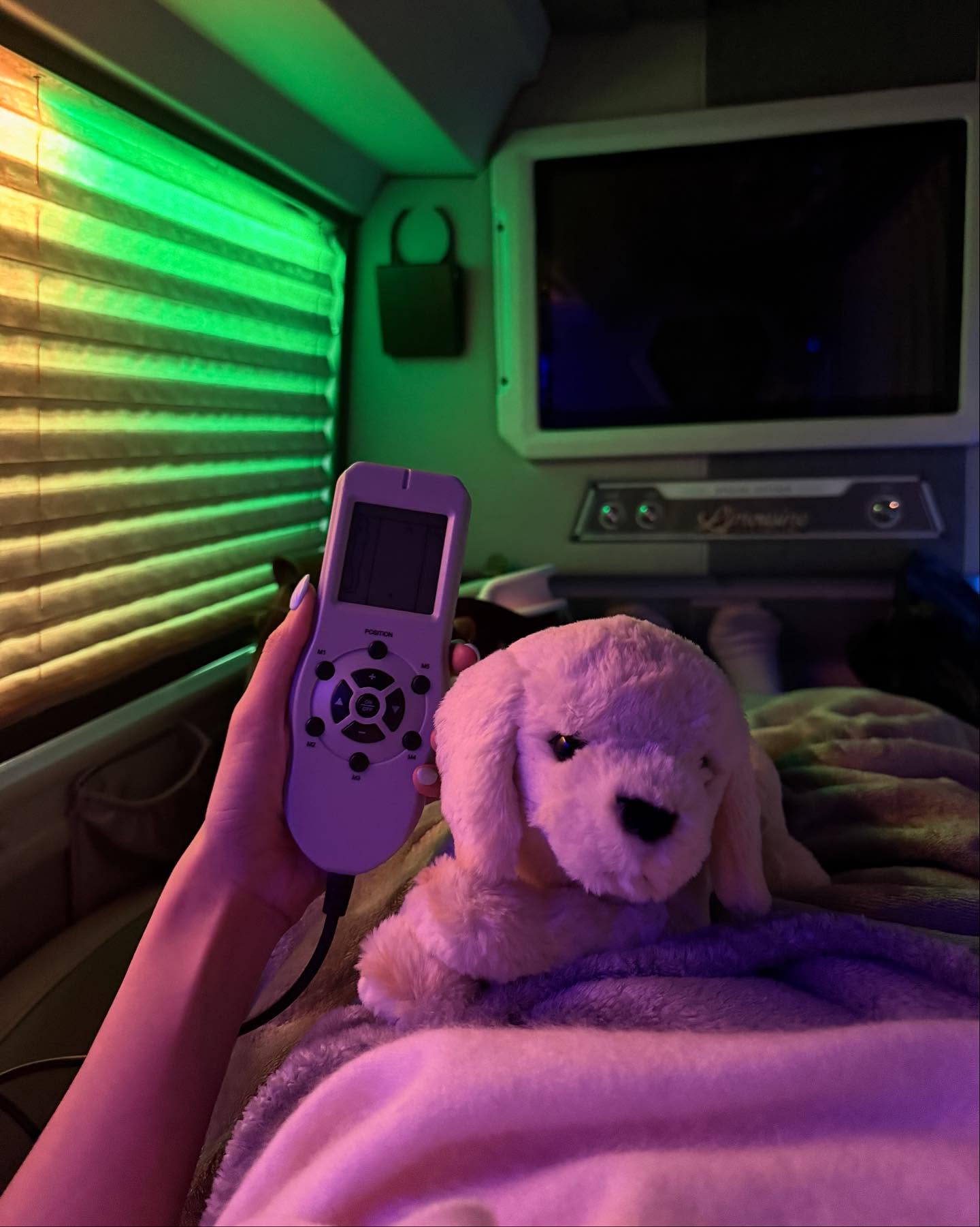 พรอยมน - มนสภรณ์ ชาญเฉลิม