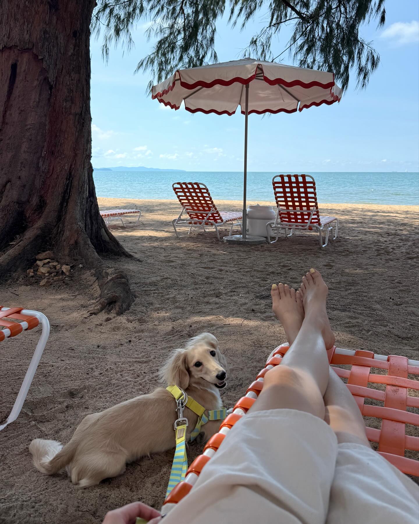 พรอยมน - มนสภรณ์ ชาญเฉลิม