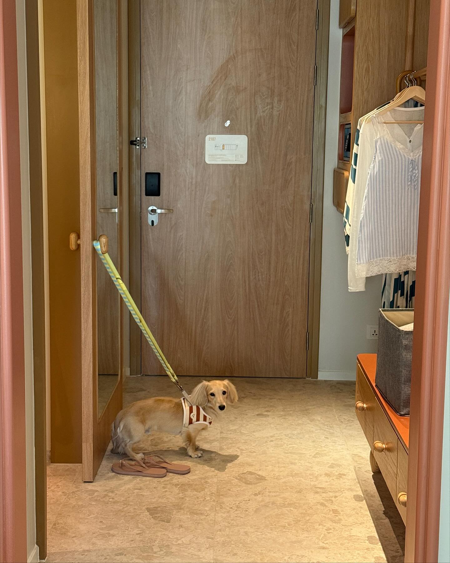 พรอยมน - มนสภรณ์ ชาญเฉลิม