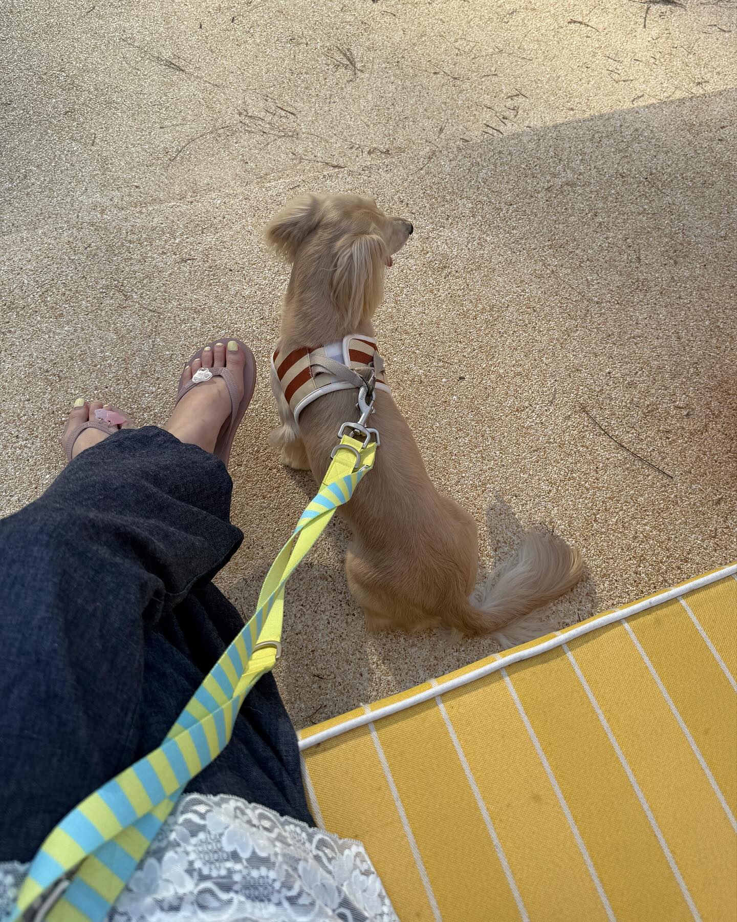 พรอยมน - มนสภรณ์ ชาญเฉลิม