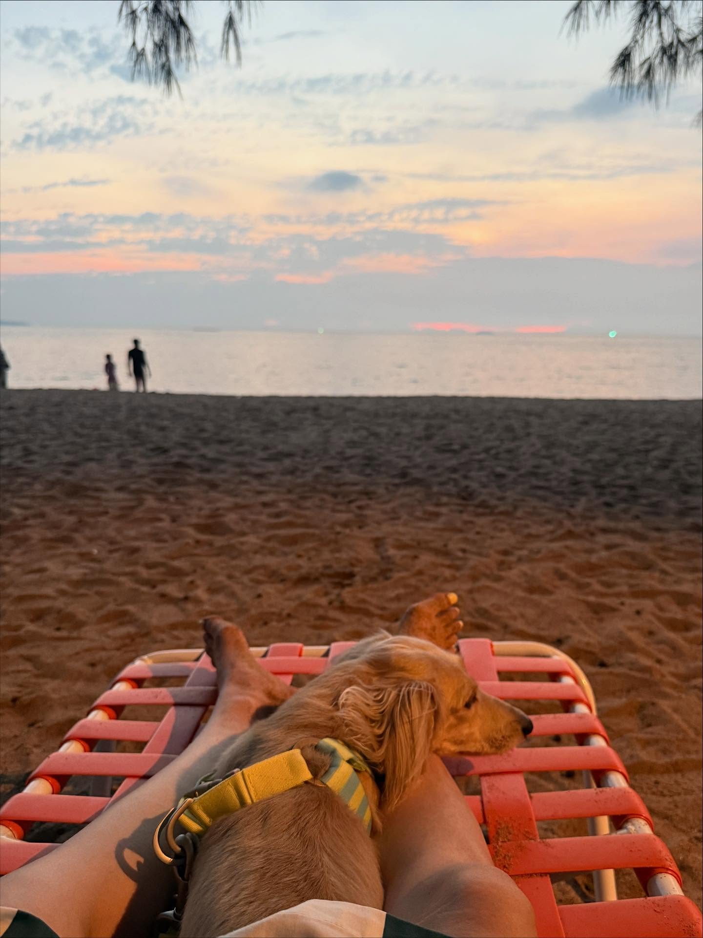 พรอยมน - มนสภรณ์ ชาญเฉลิม