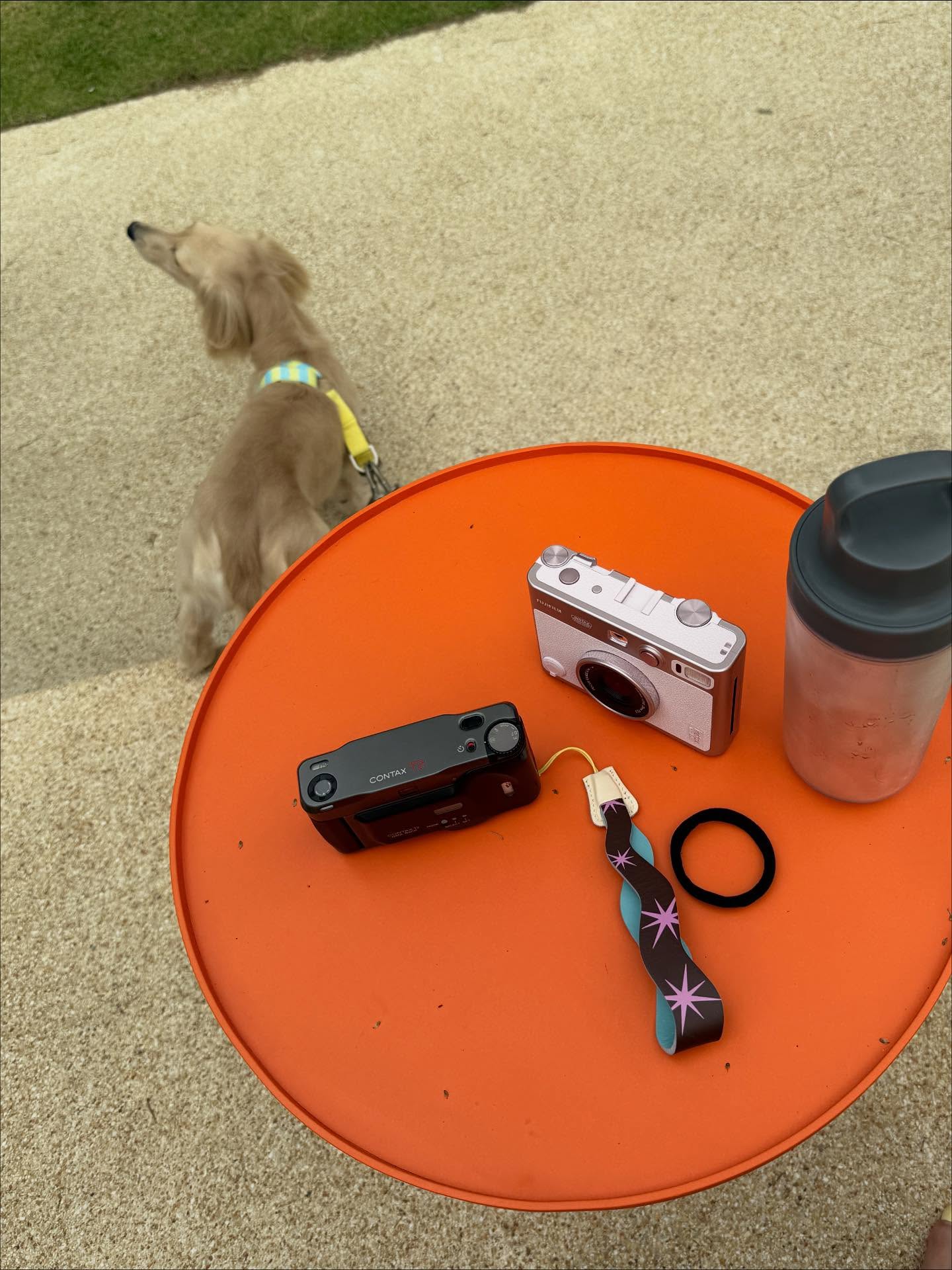 พรอยมน - มนสภรณ์ ชาญเฉลิม