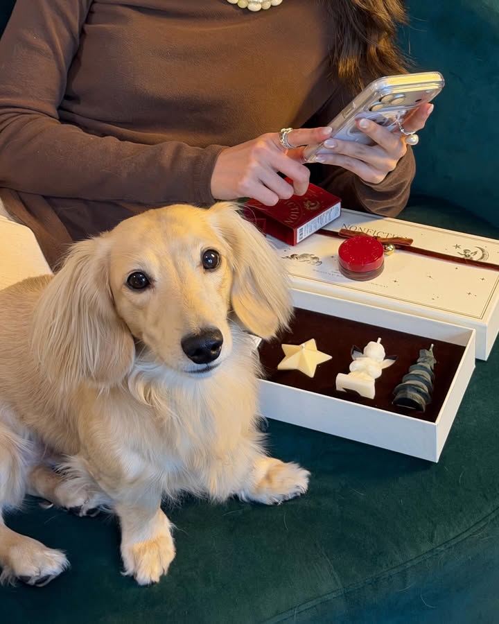 พรอยมน - มนสภรณ์ ชาญเฉลิม