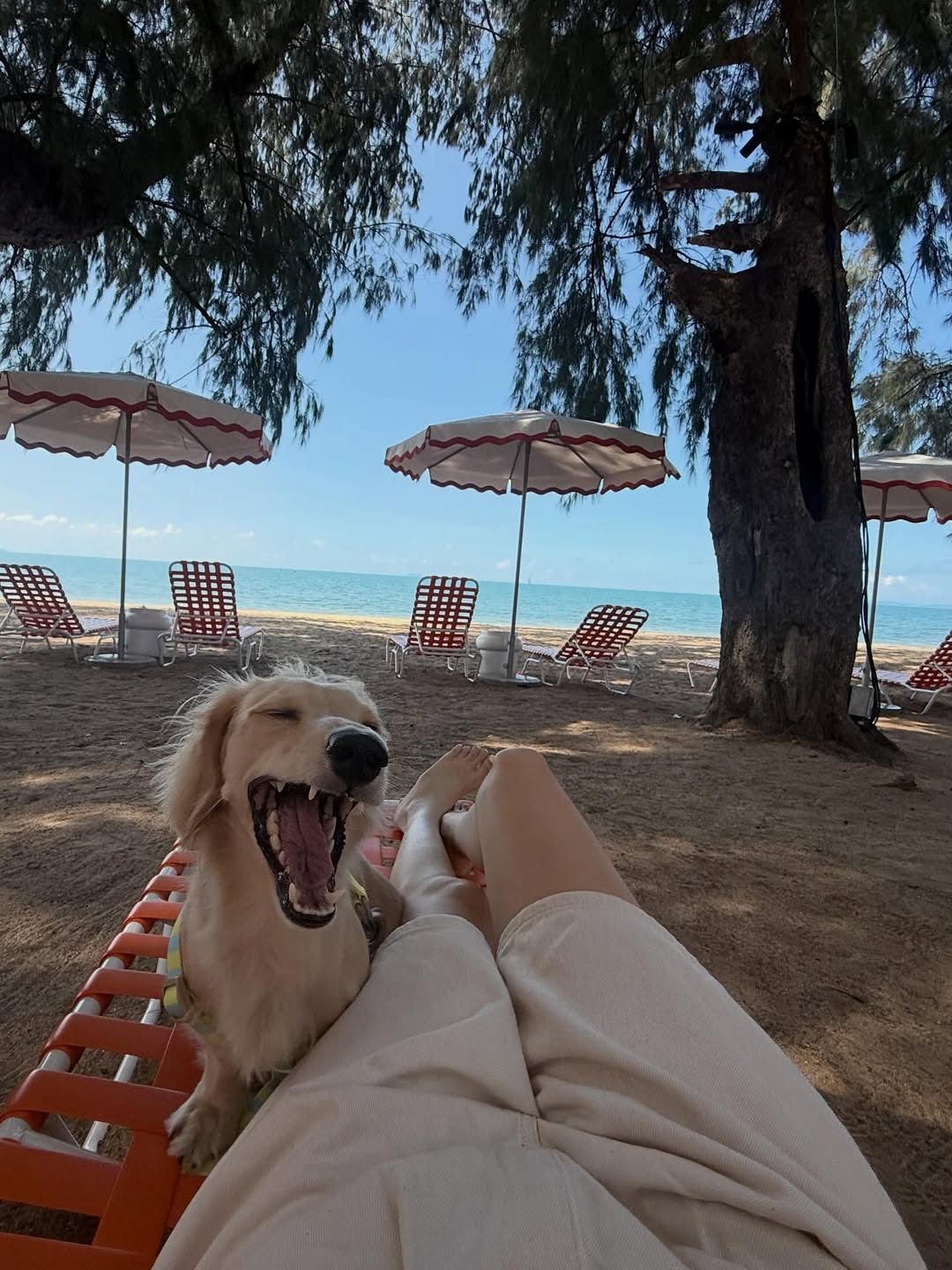 พรอยมน - มนสภรณ์ ชาญเฉลิม