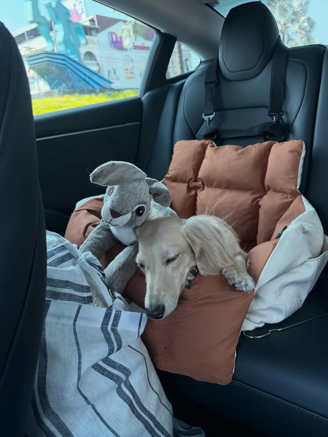 พรอยมน - มนสภรณ์ ชาญเฉลิม