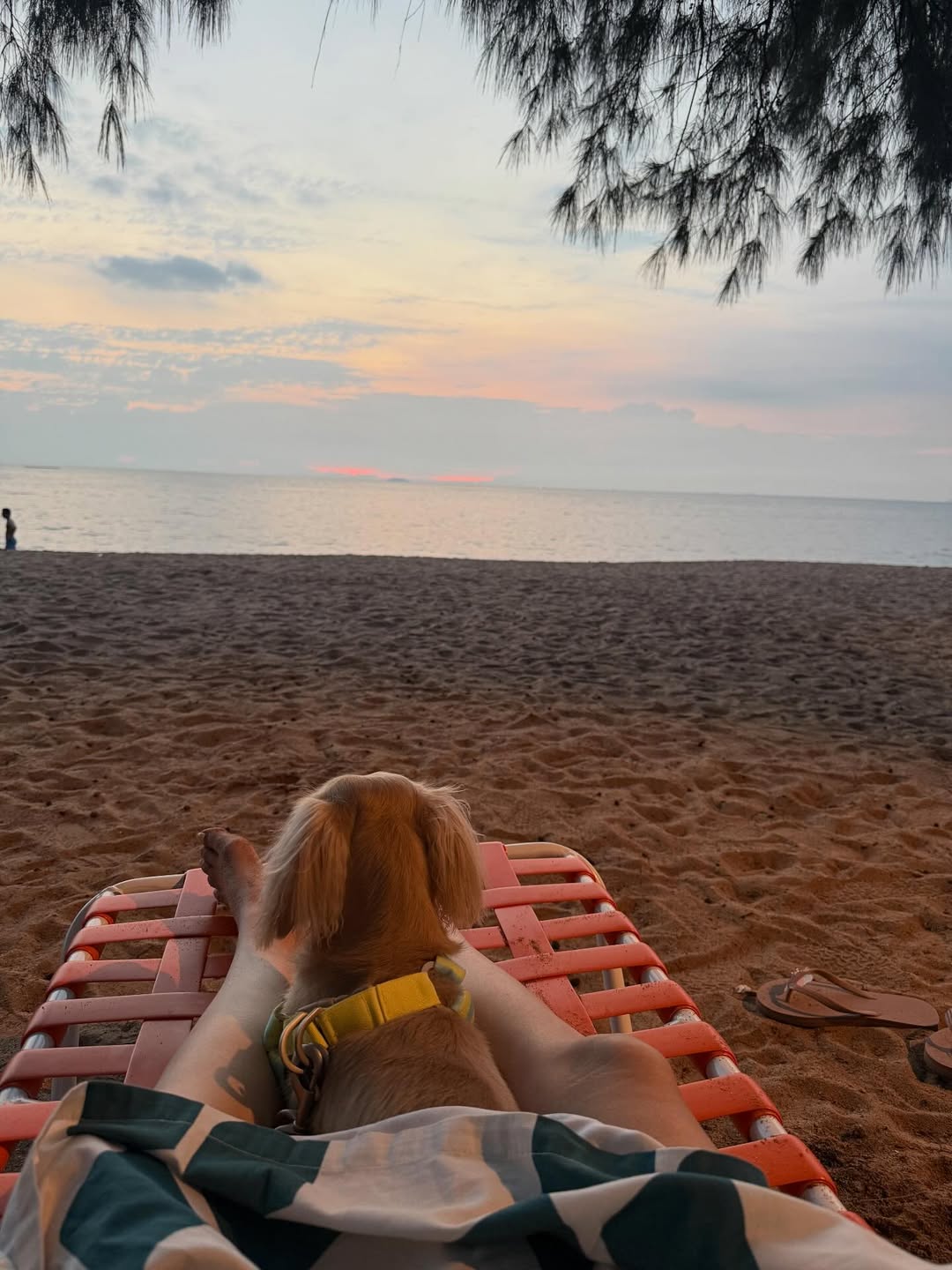 พรอยมน - มนสภรณ์ ชาญเฉลิม