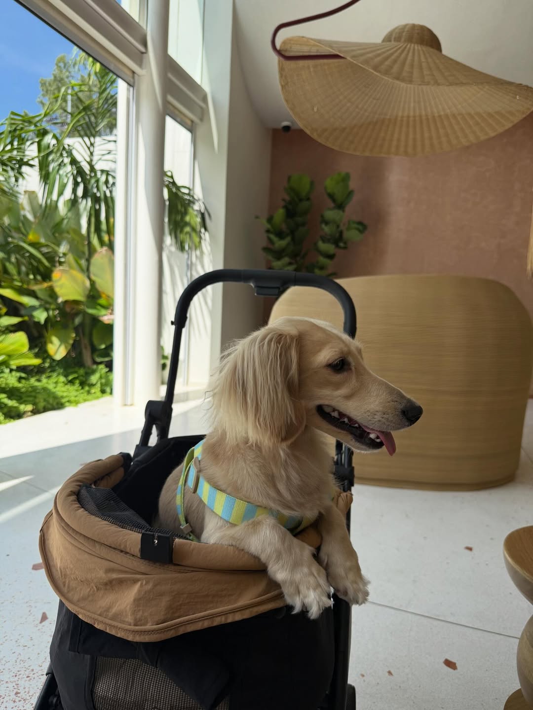 พรอยมน - มนสภรณ์ ชาญเฉลิม