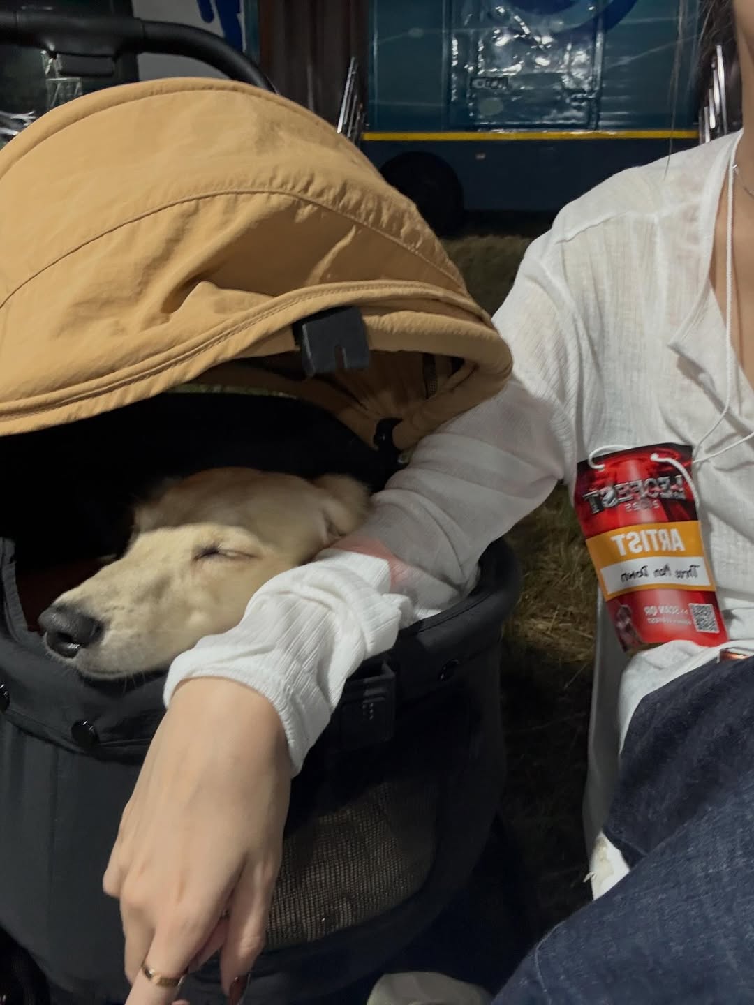 พรอยมน - มนสภรณ์ ชาญเฉลิม