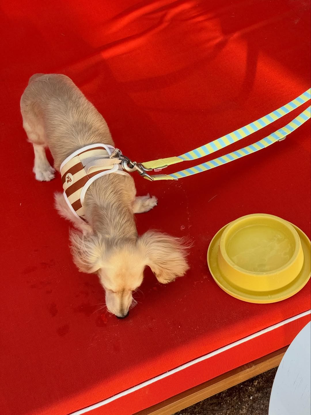 พรอยมน - มนสภรณ์ ชาญเฉลิม