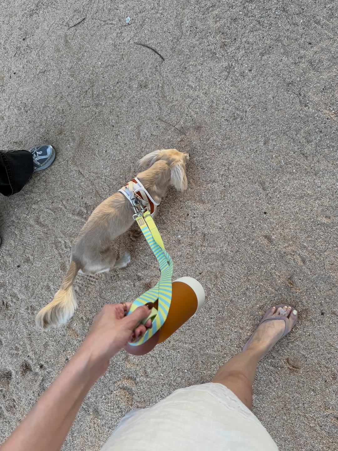 พรอยมน - มนสภรณ์ ชาญเฉลิม